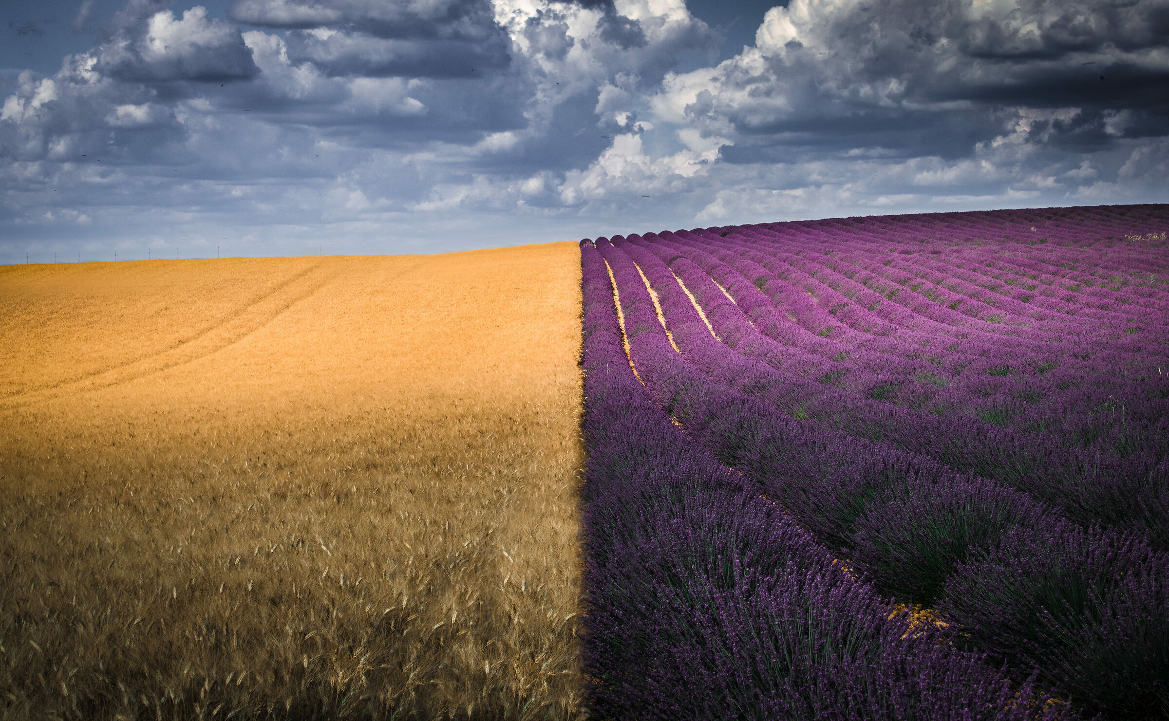 Strawberry abd Cream