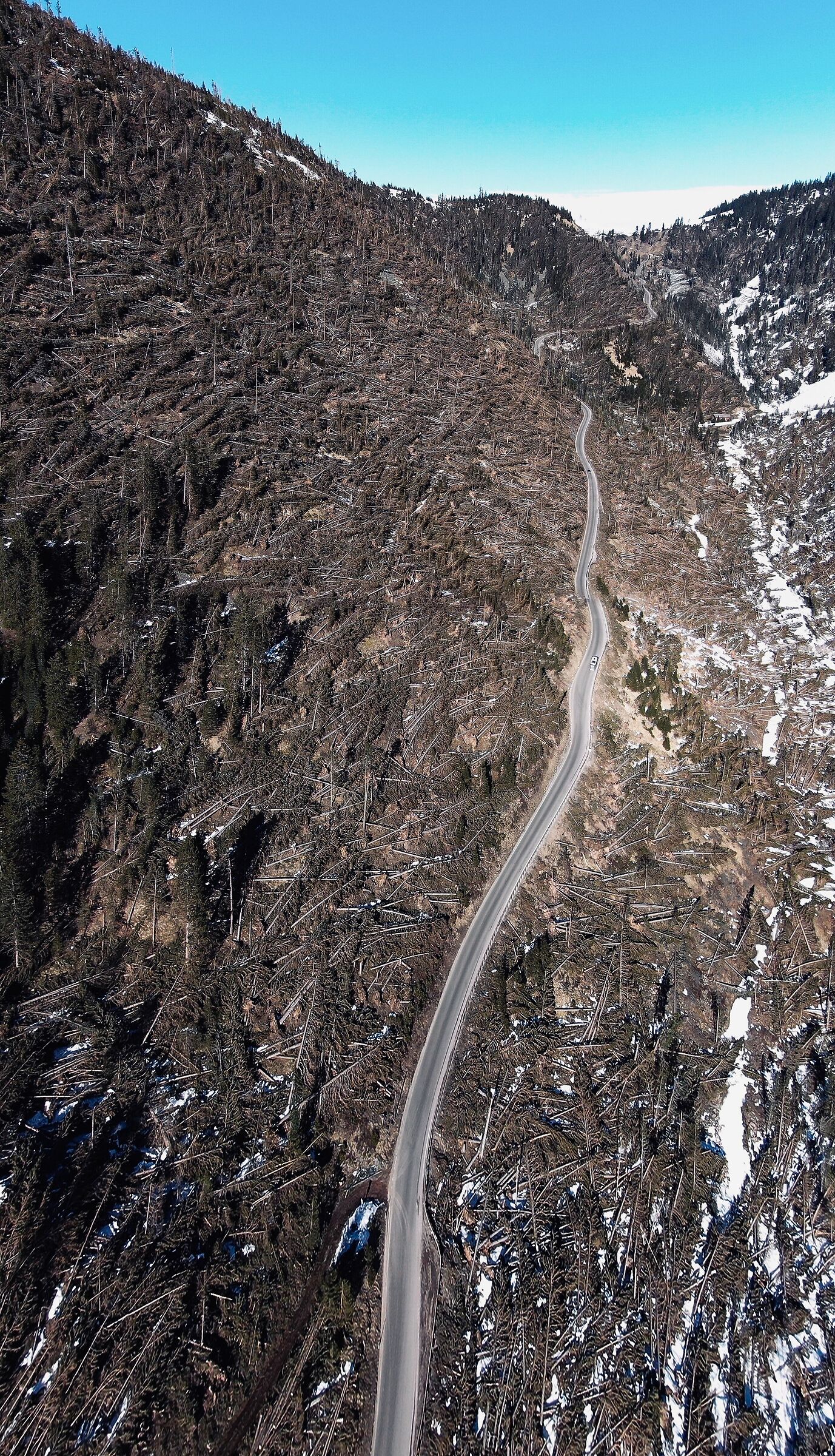 The devastation of the forests of Val di Fiemme