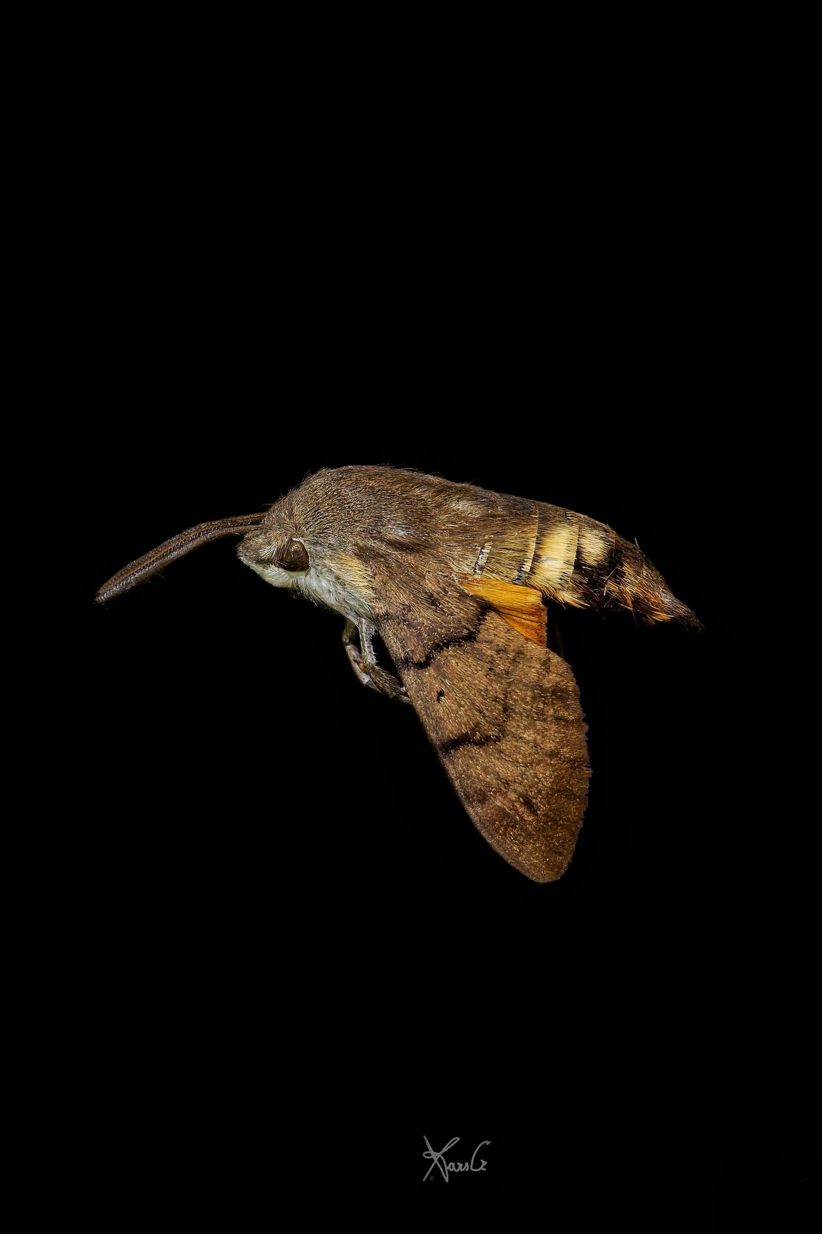 To remind you how you were