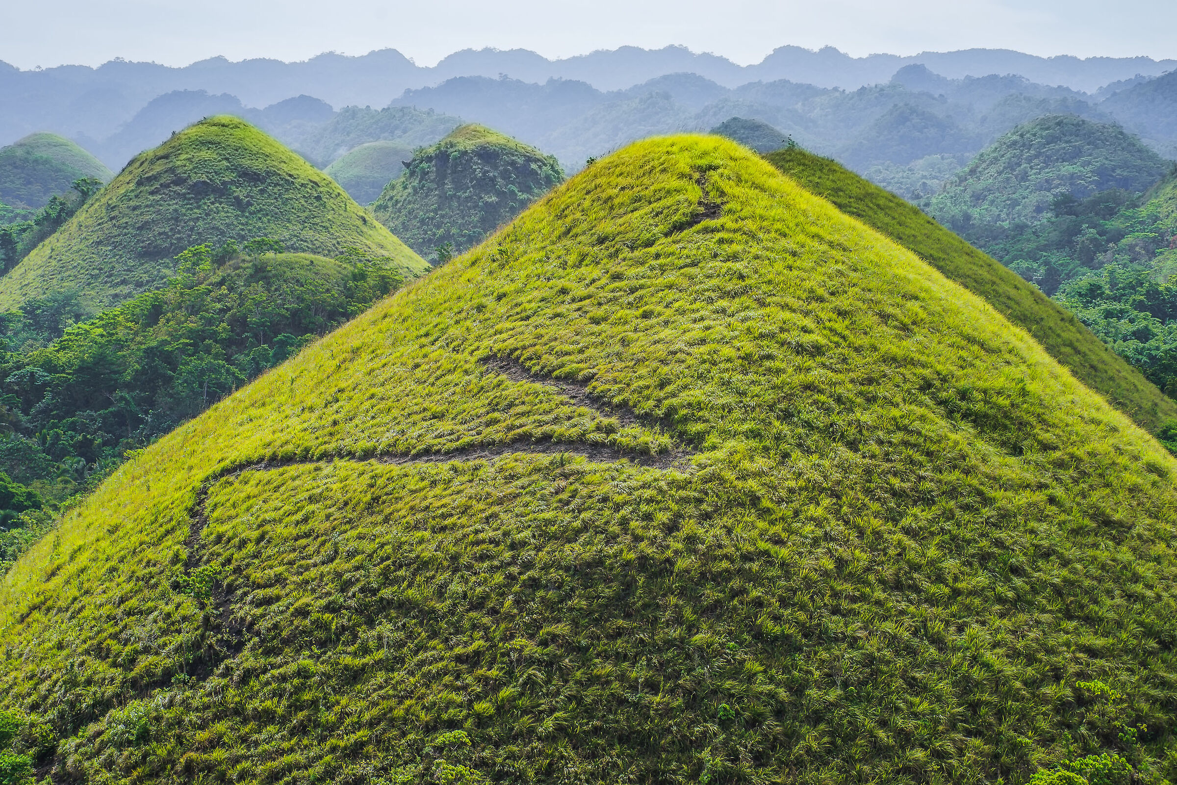 chocolate hills