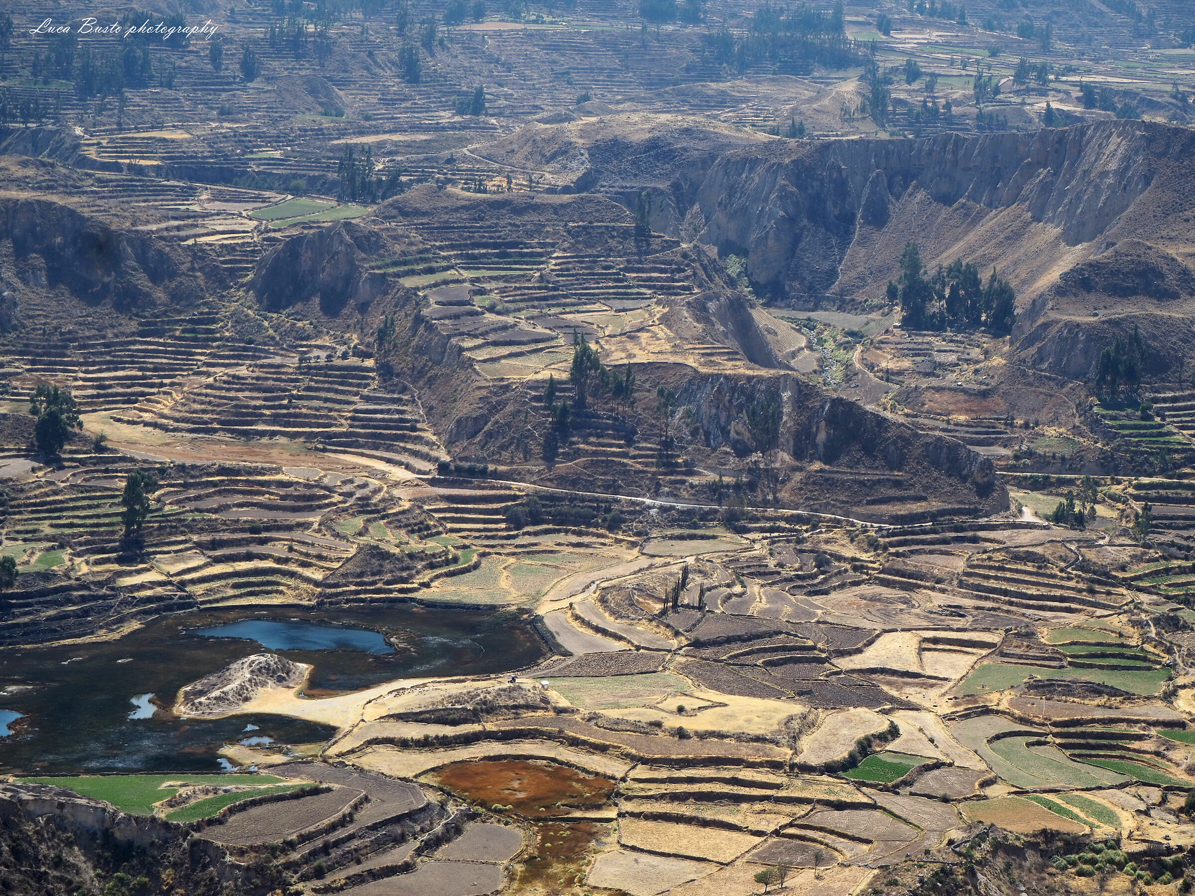 Terrazze Colca Canyon