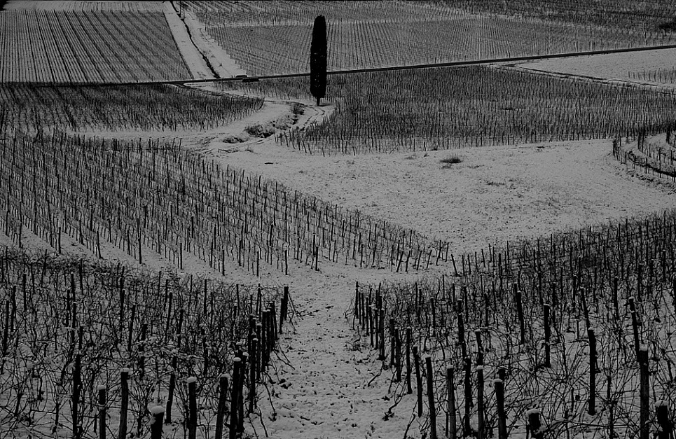 First snow on the hill