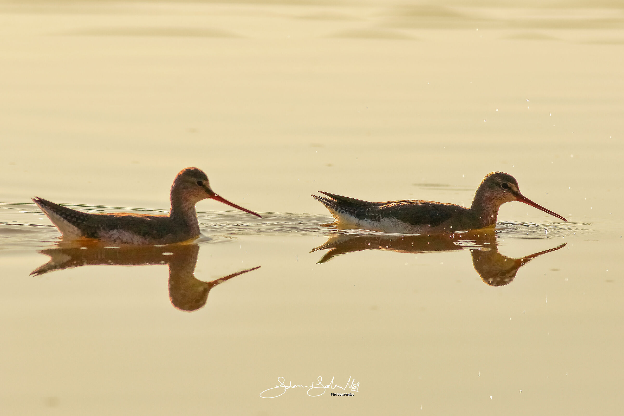 Rincorrersi al tramonto