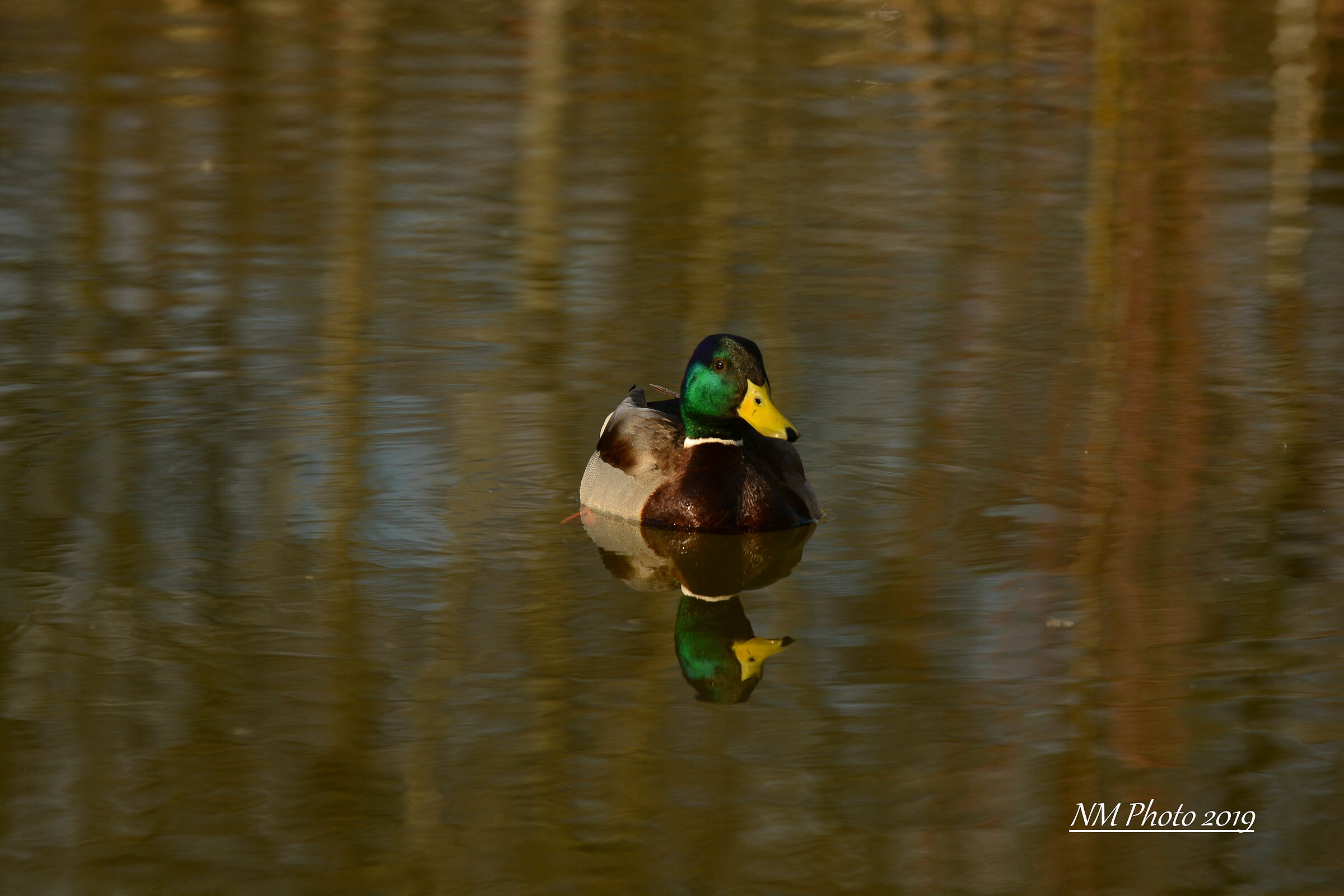 Landsweiler Reden (Saarland-Germany)