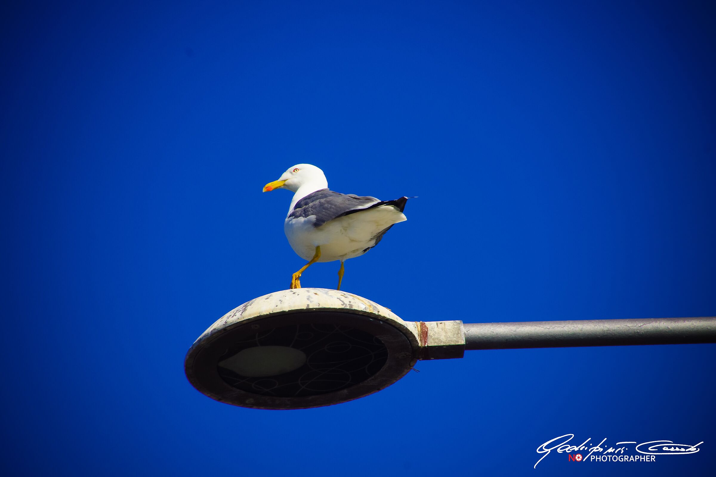 Il Guardiano del faro