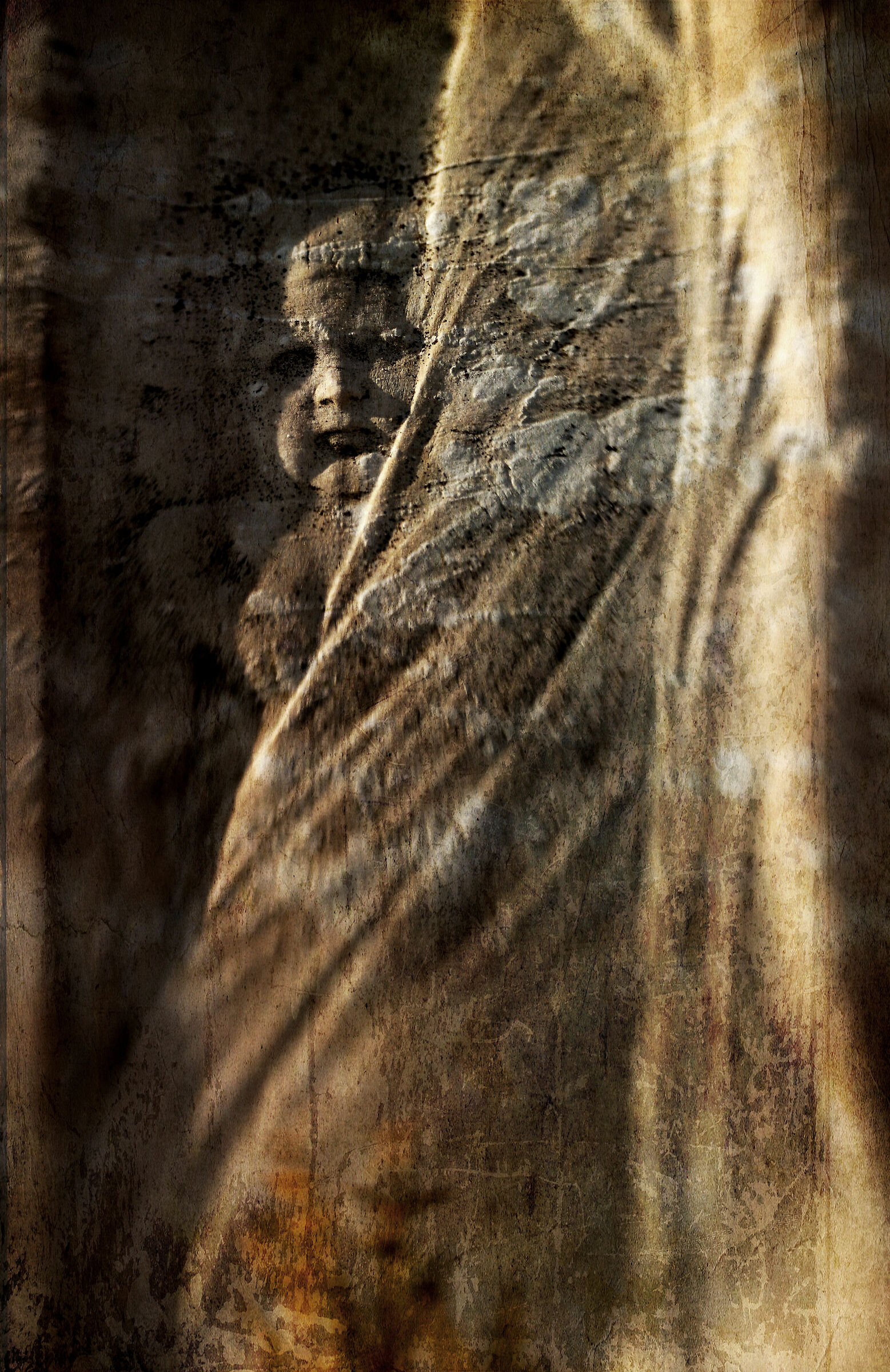 Love Me tender But kill me Slowly