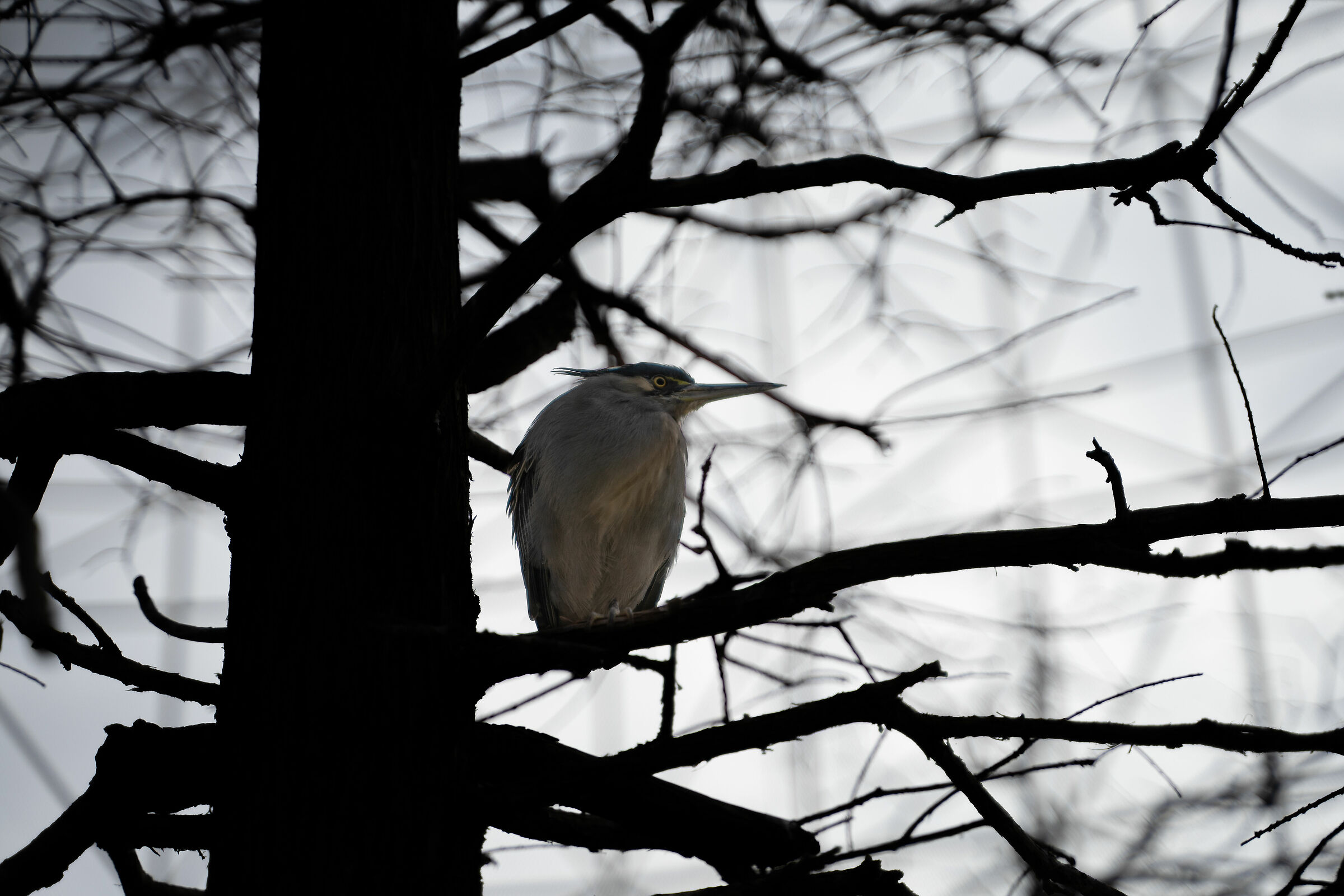 Oceanogràfic de Valencia