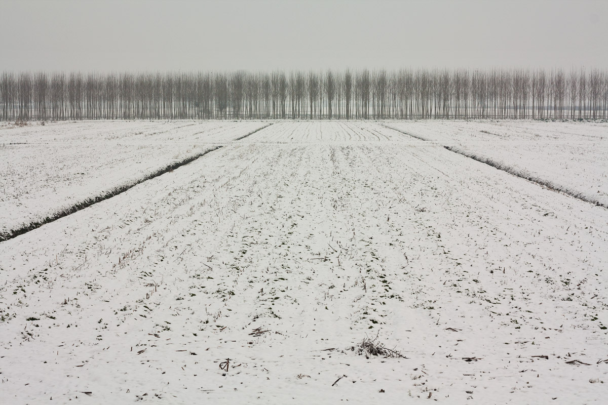 The campaign of Valais