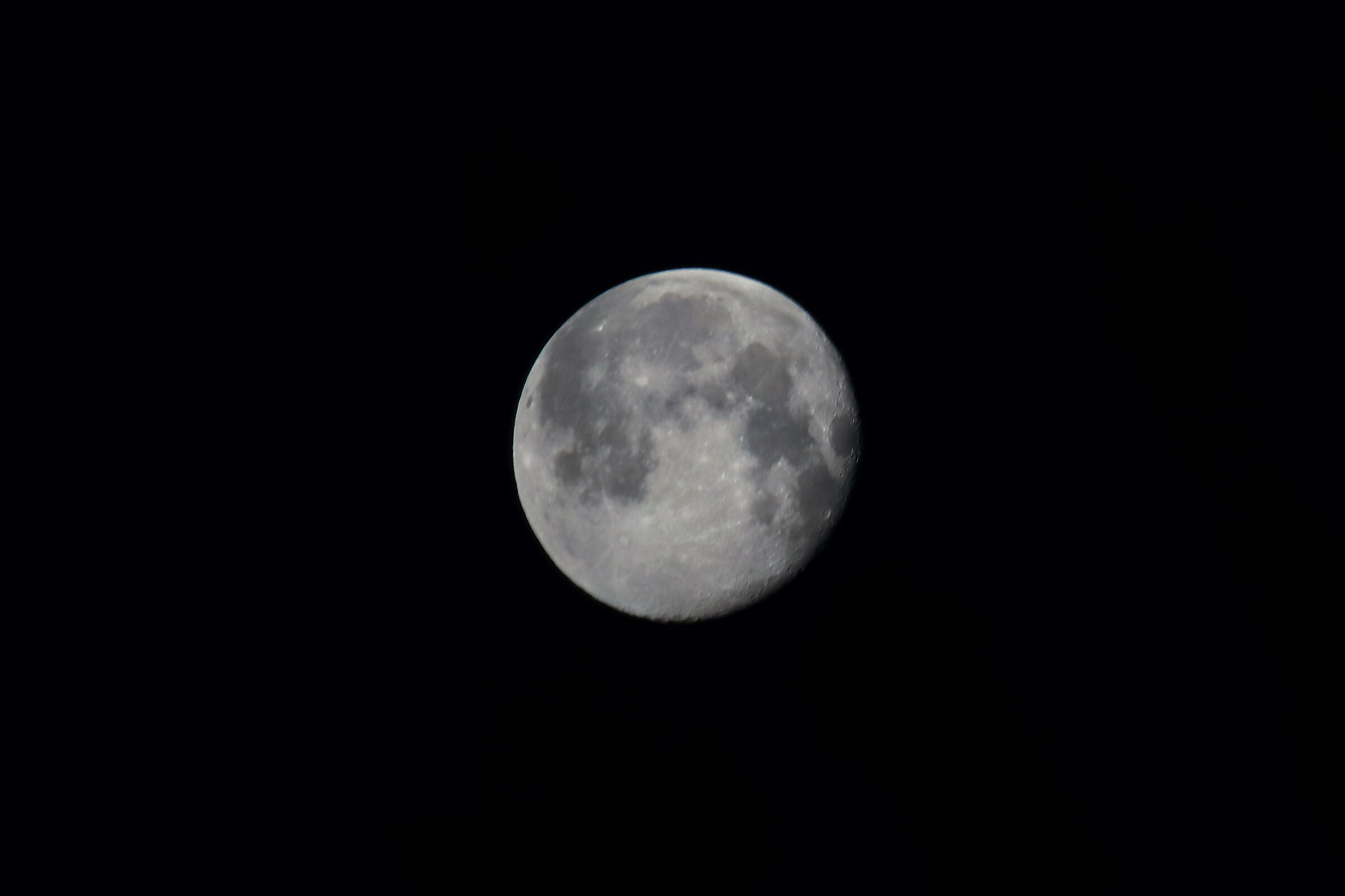 Luna-February 19-02-2019
