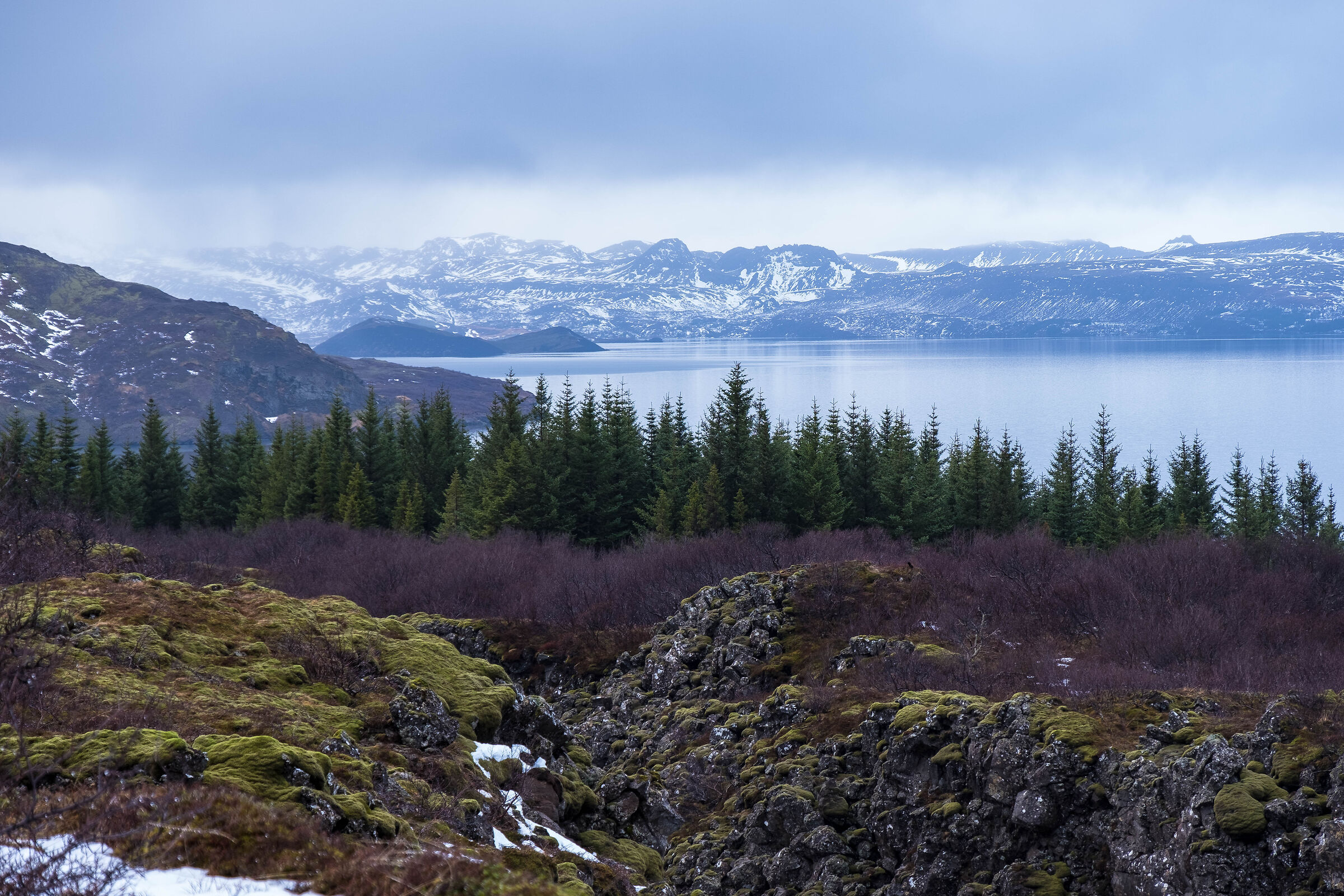 Always wears the colors of the spirit