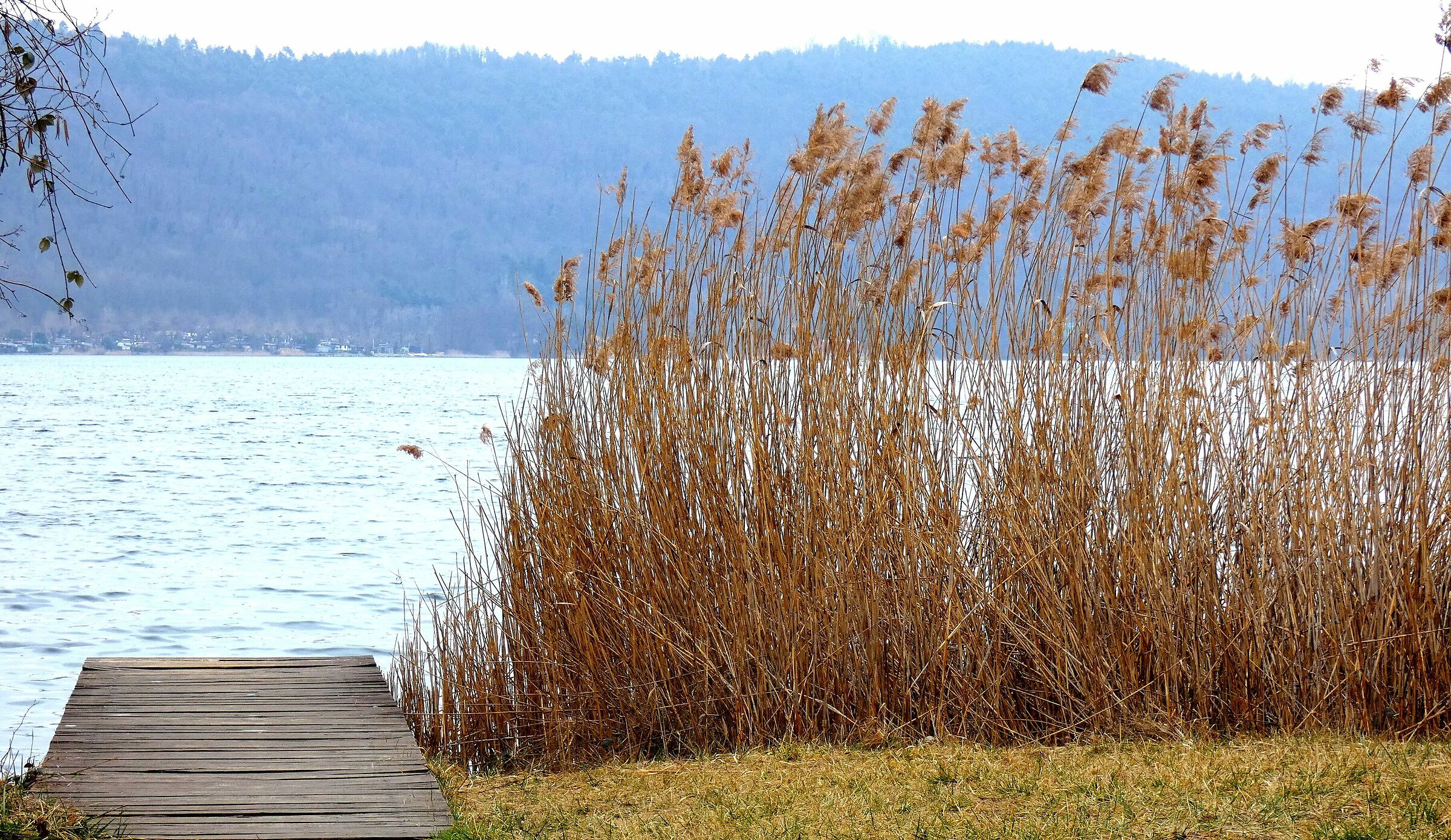 Lake Comabbio (Varese)