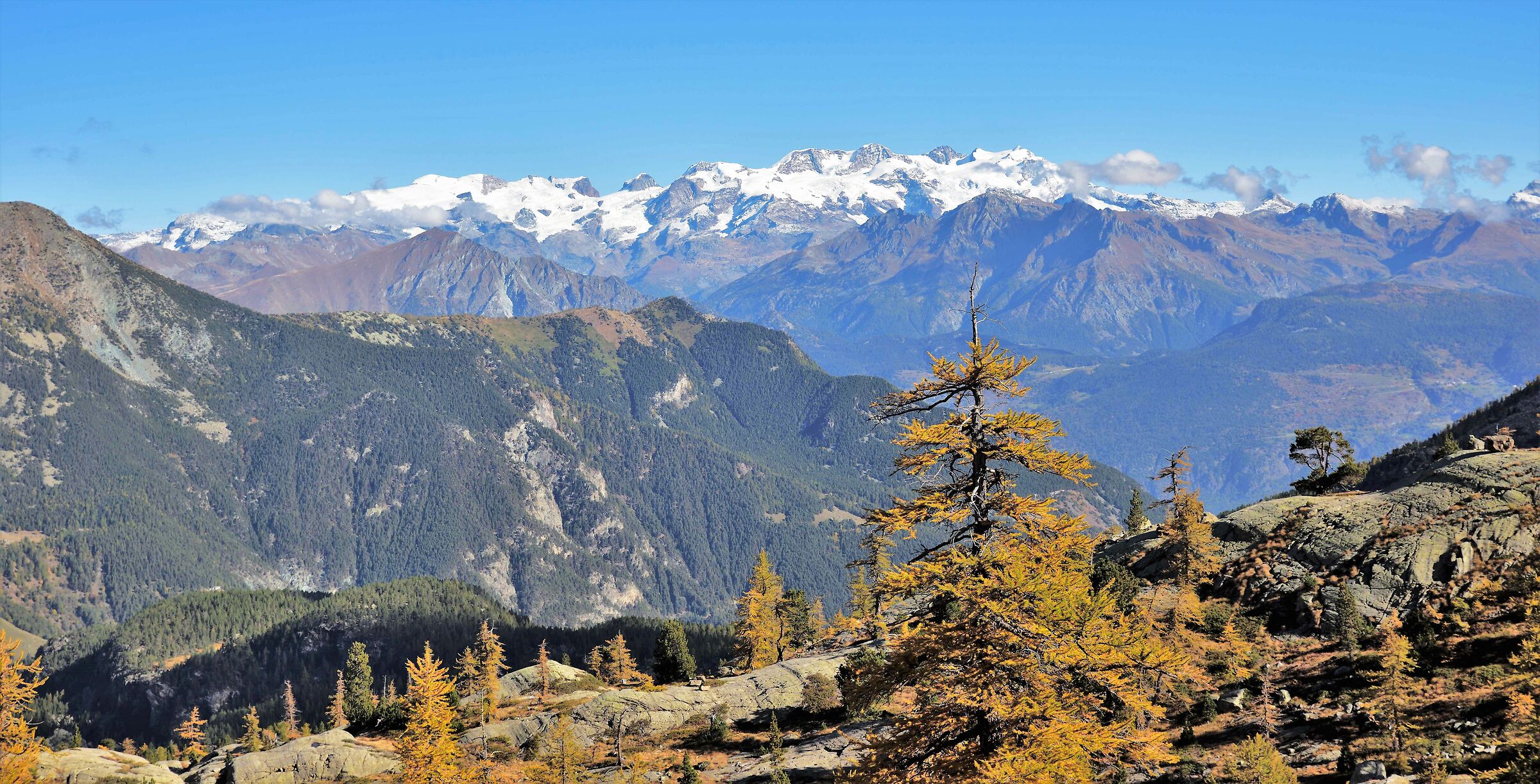 In the background the Monte Rosa chain