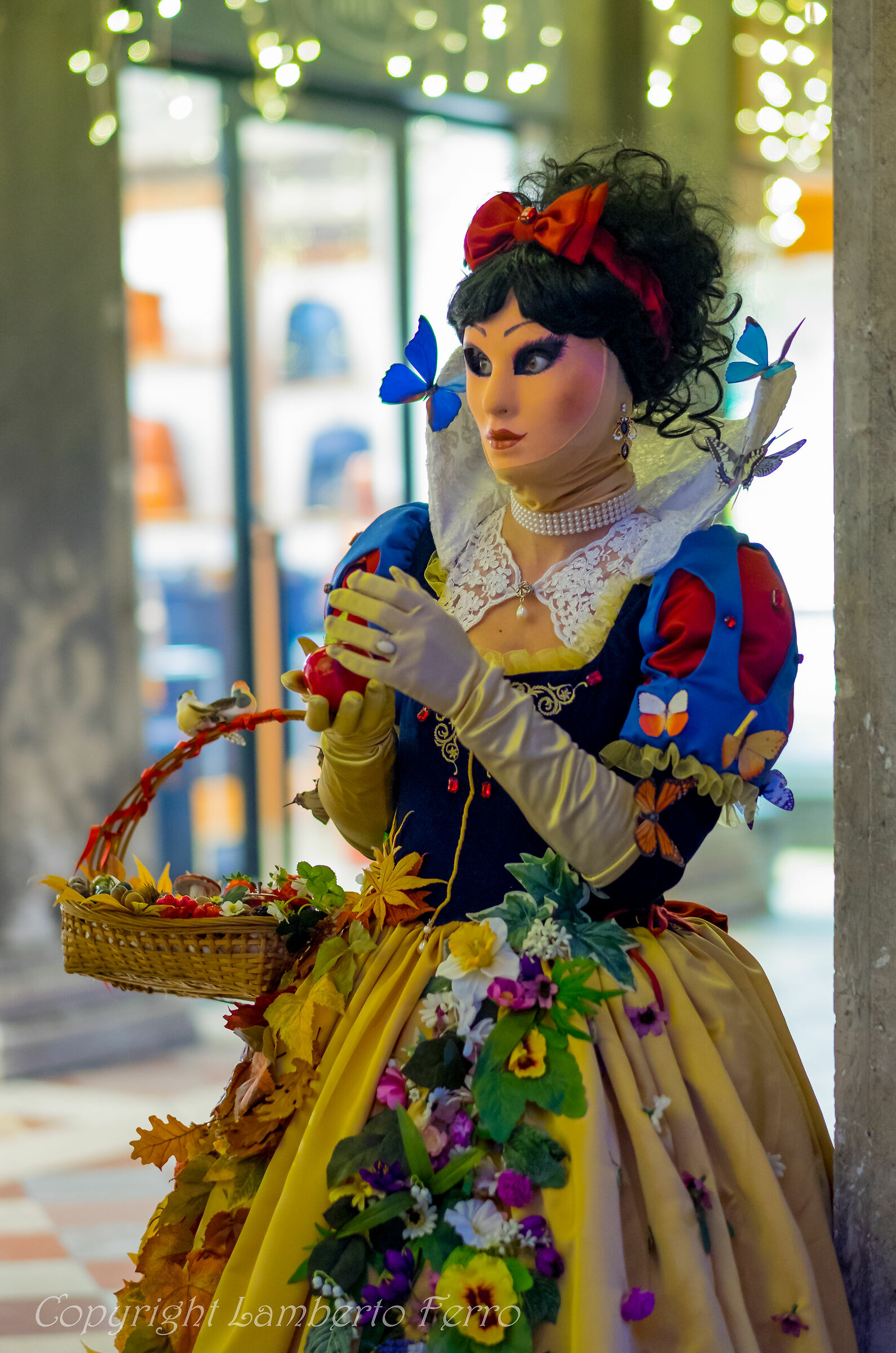 Venezia carnevale 2019