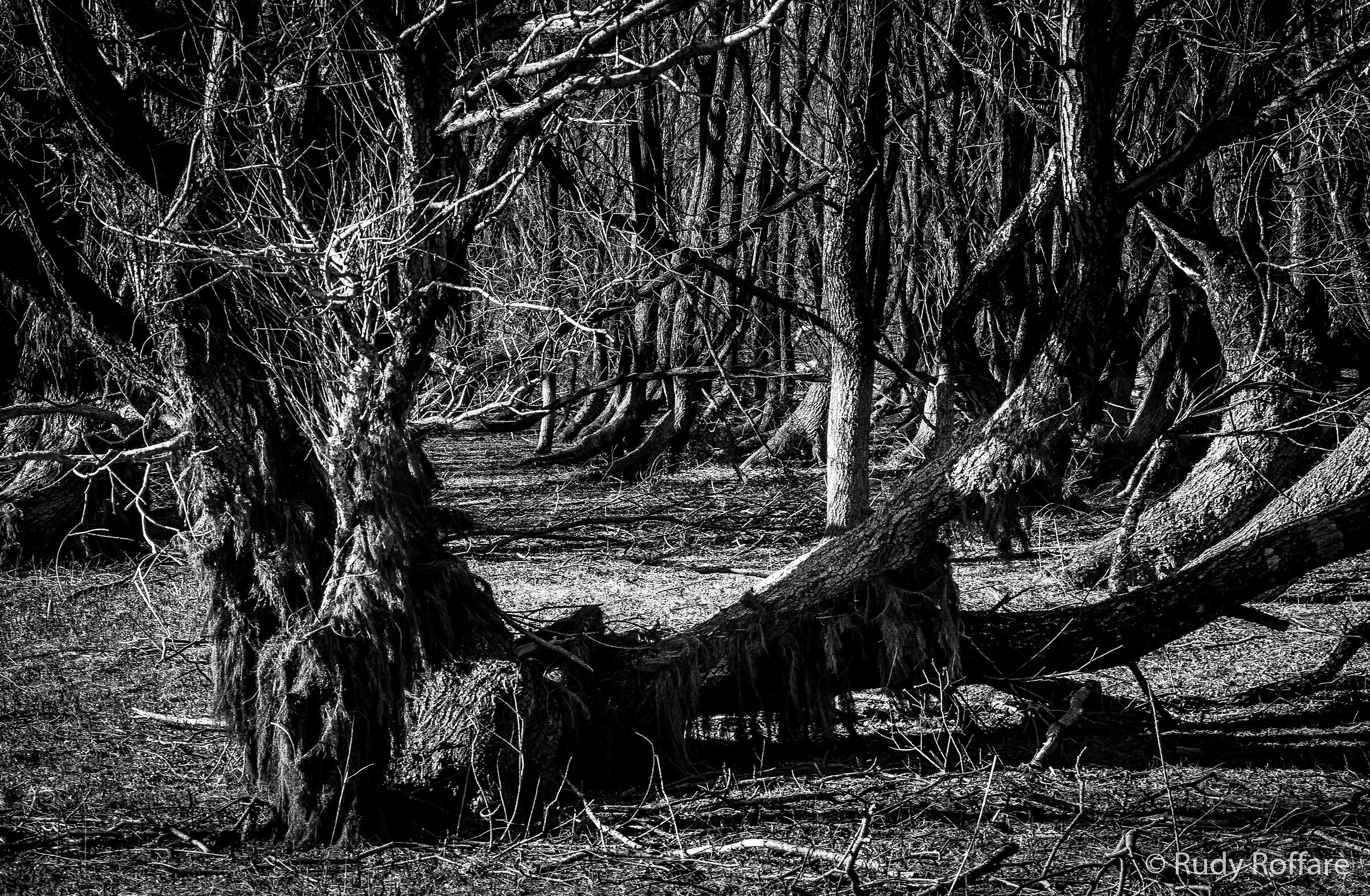 The darkness of the Lake of Santa Croce