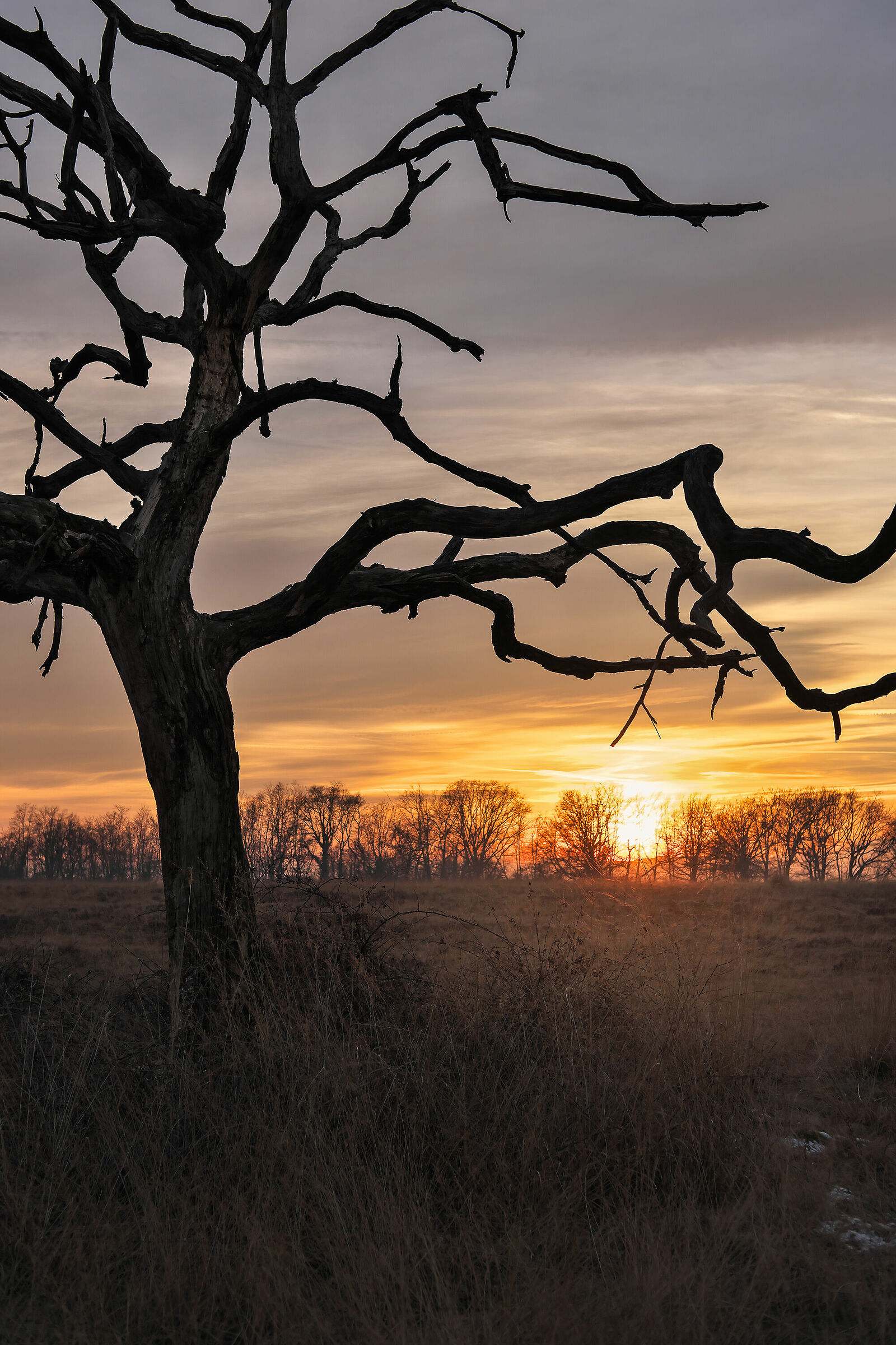 Sunset on the Baraggia of Candelo