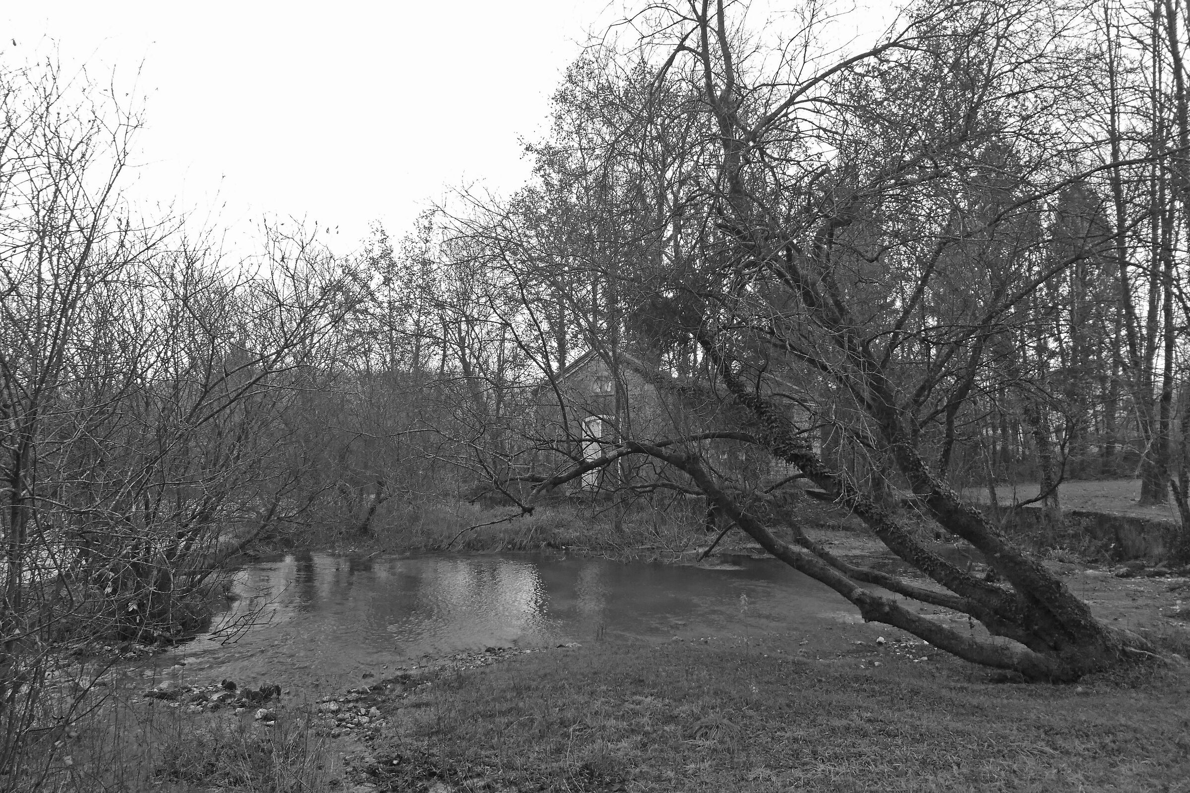 pericolosa inclinazione