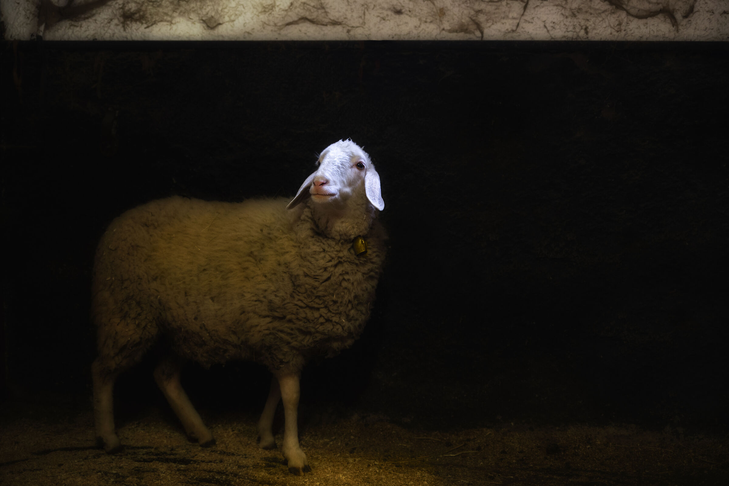 I Don't Need a Supermodel