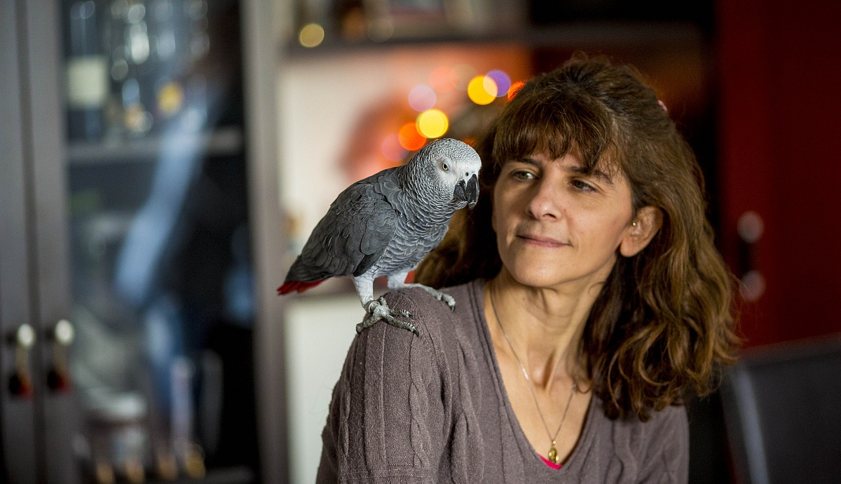 Il mio cenerino e mia mamma