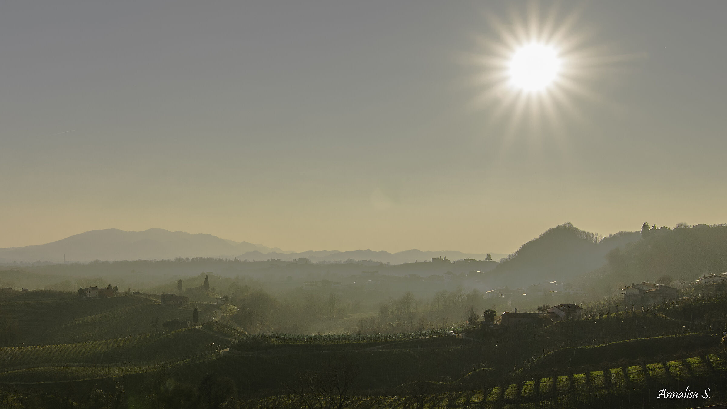 Vigneti tra la foschia