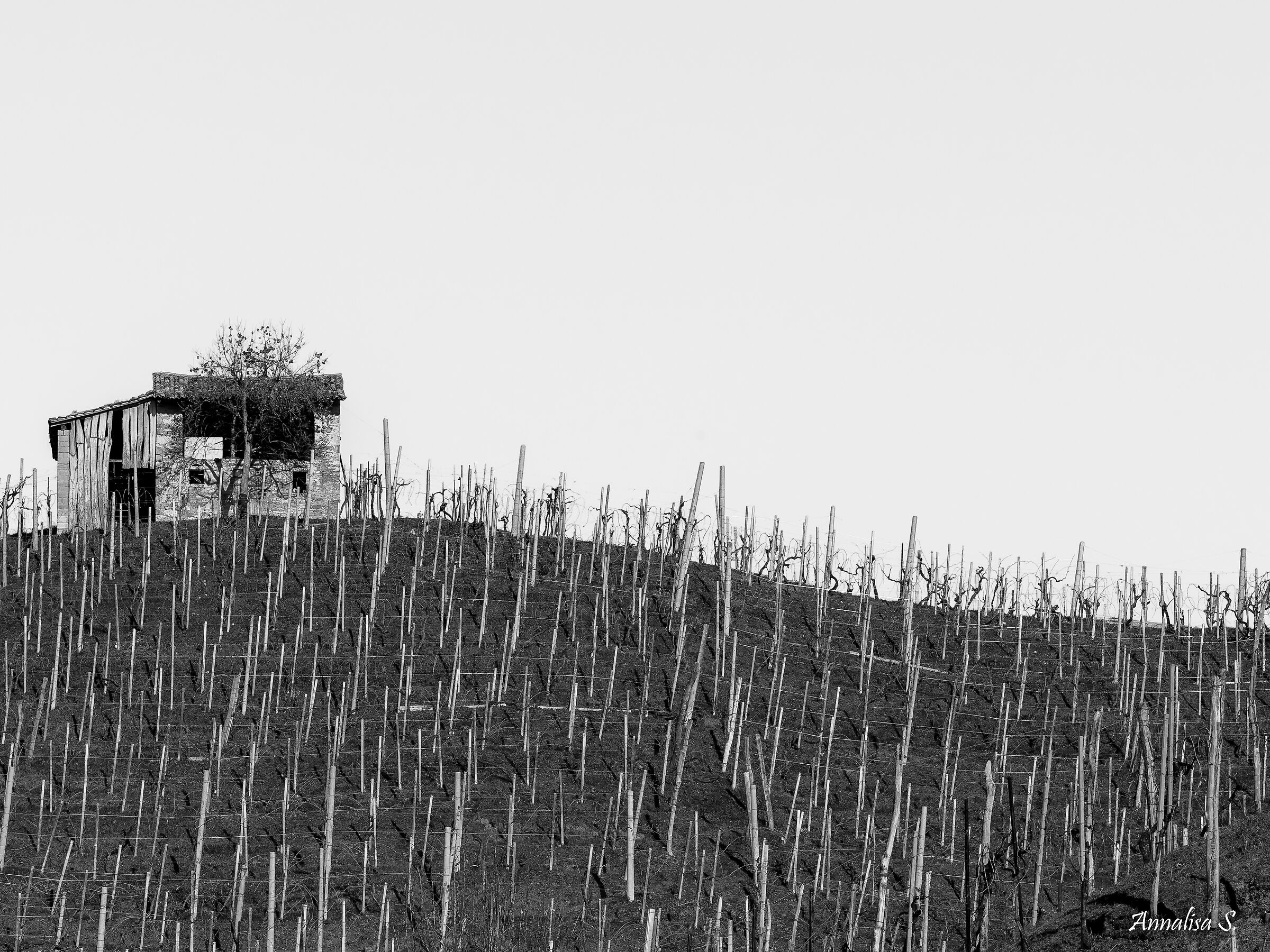 Lonely and abandoned