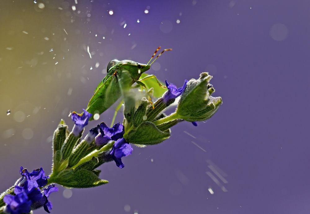 Scaldiamo i motori..