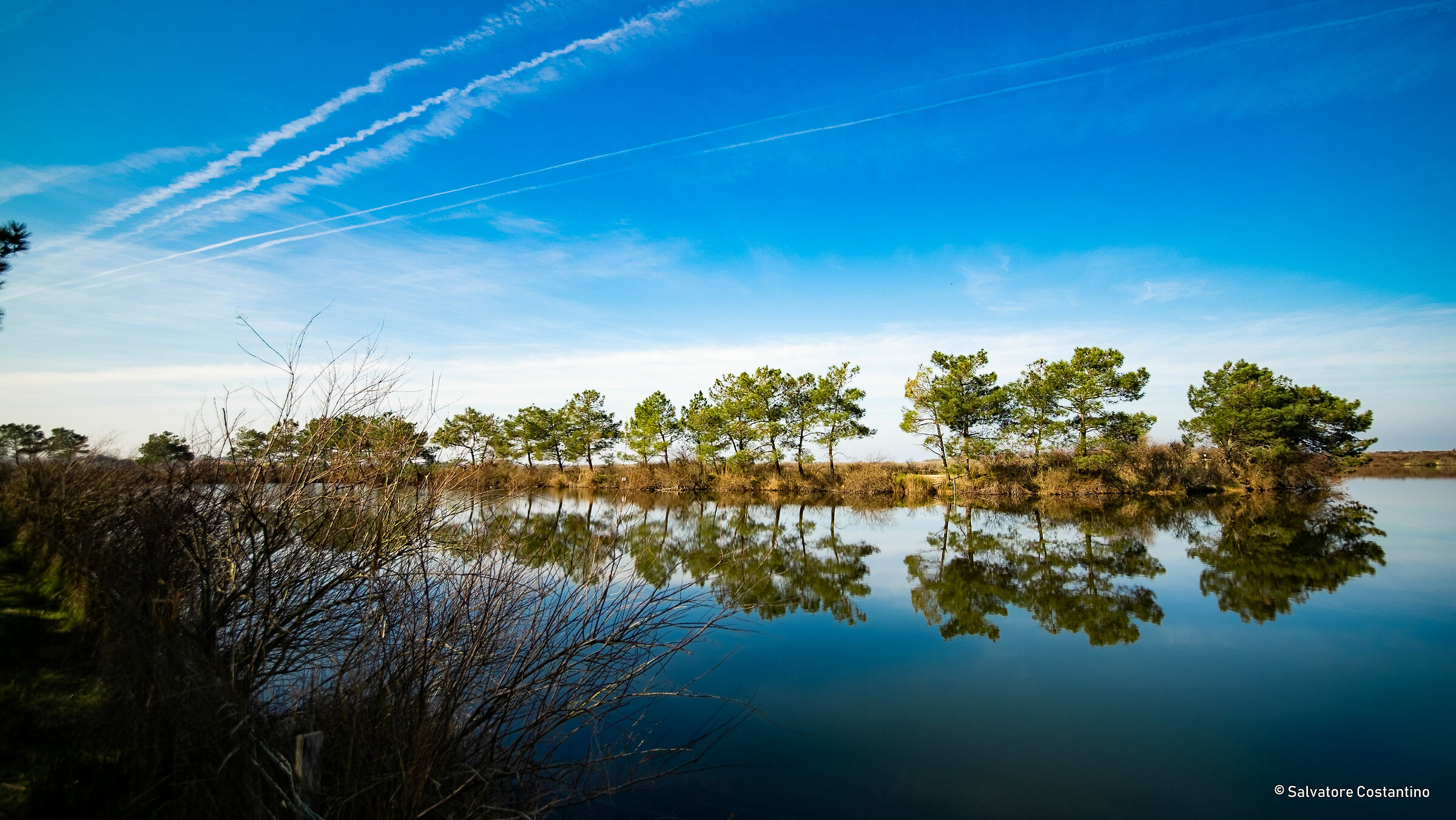 Ornithological Park Arcachon