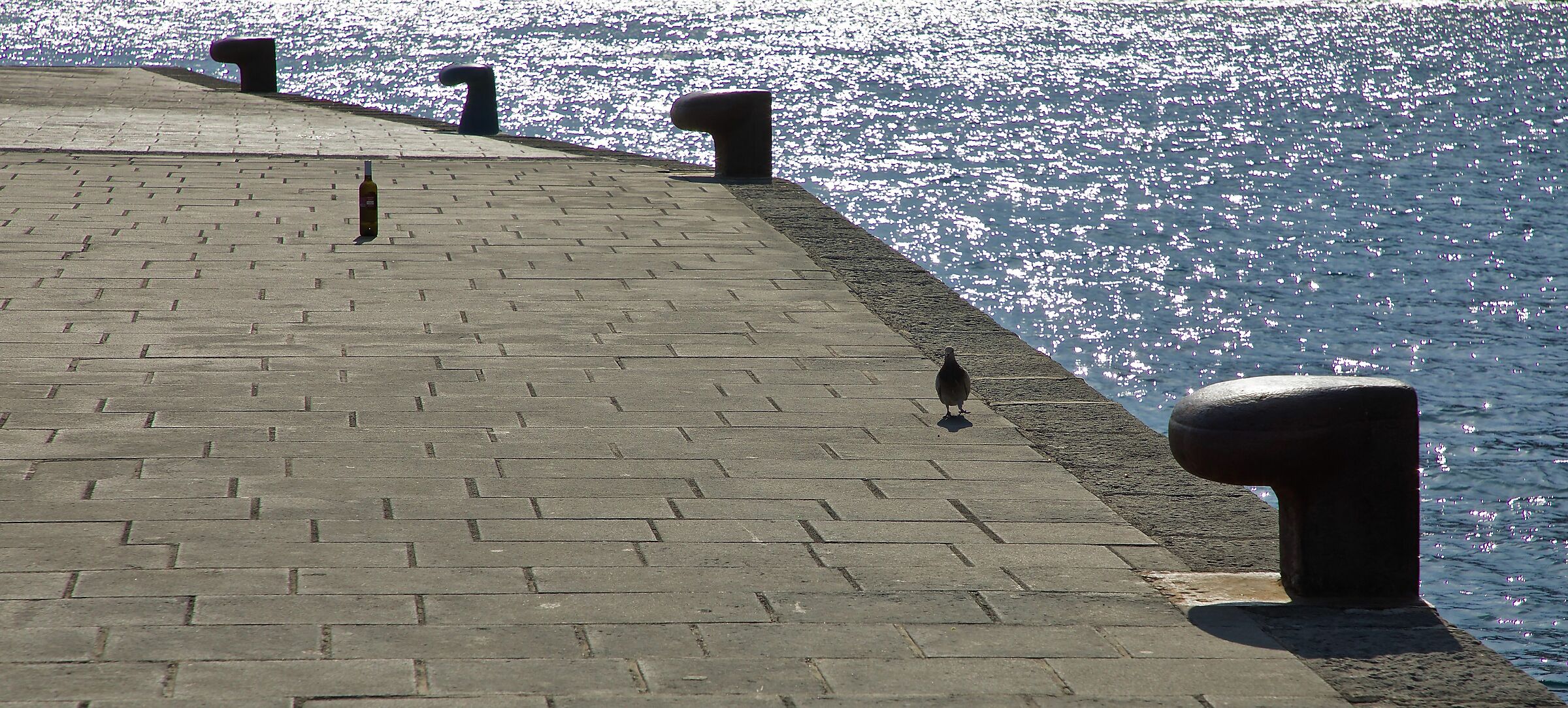 Teat or already drunk?