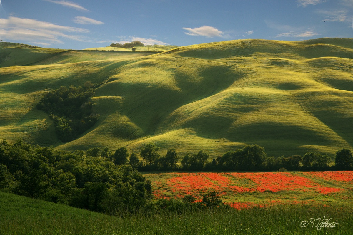 Valle della Toscana