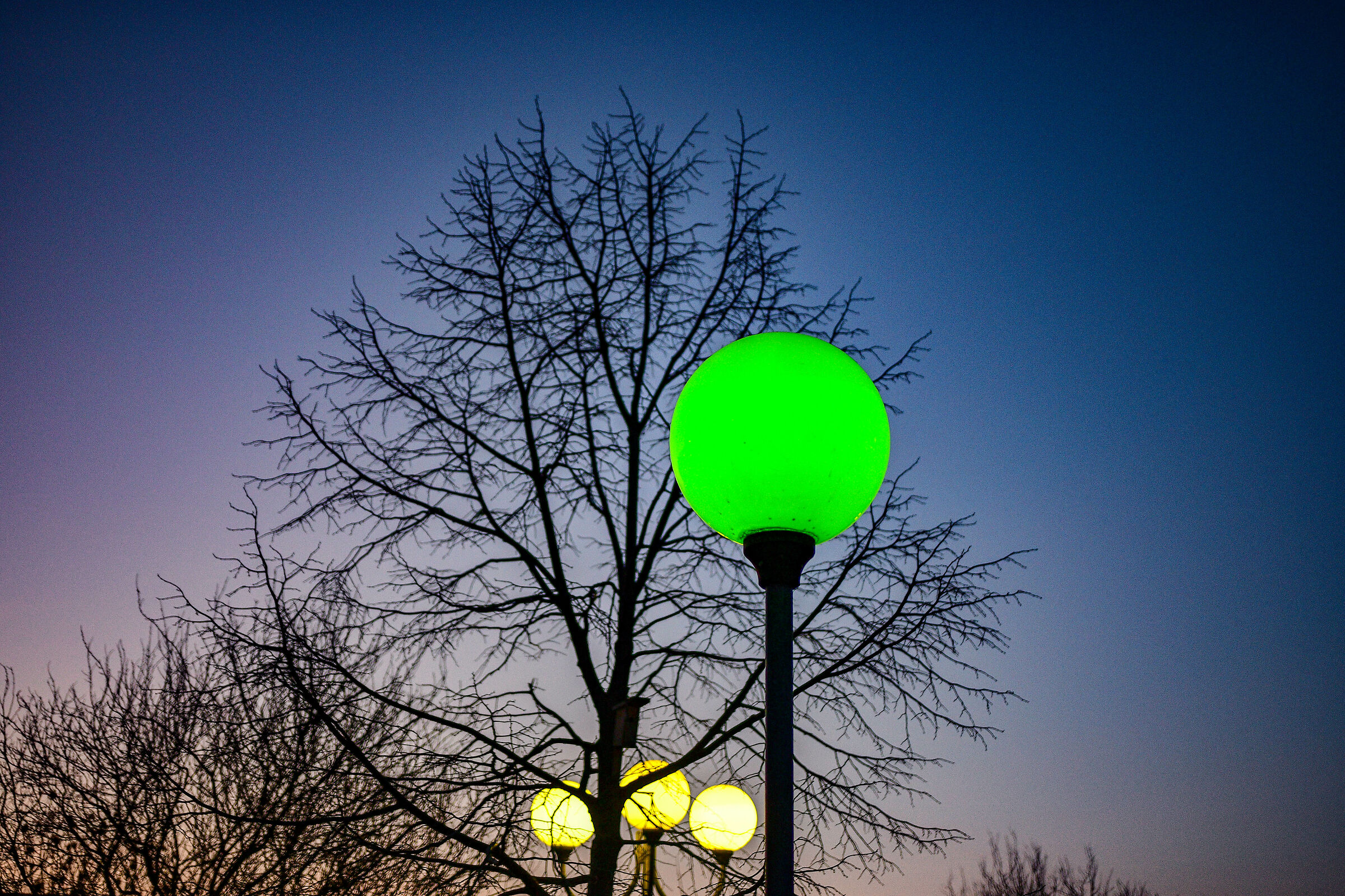 green lamp