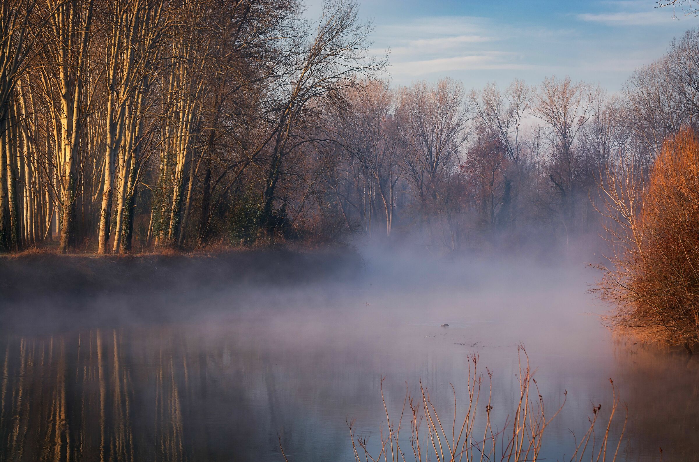 Nebbia mattutina sul Sile