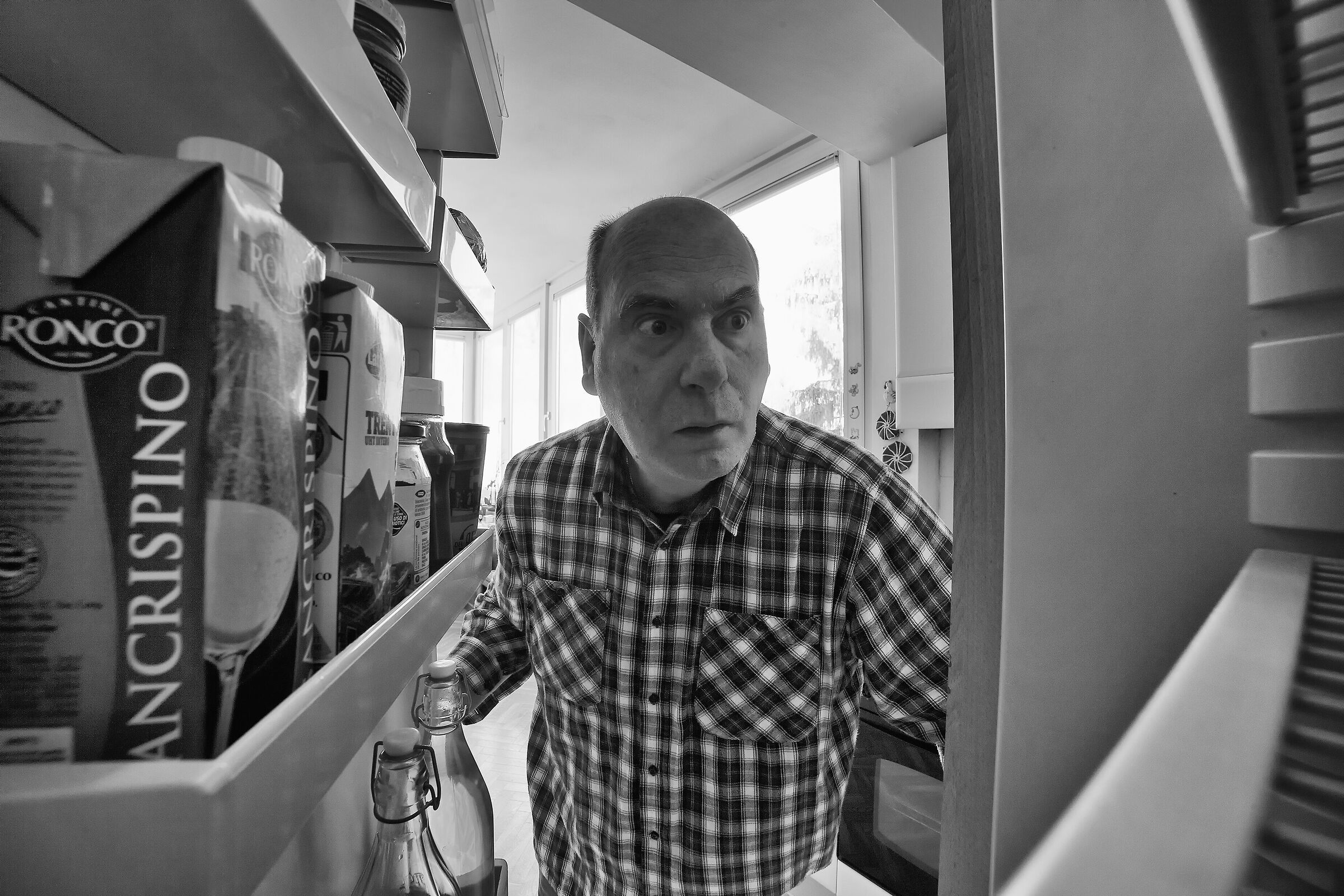 Terror in the fridge