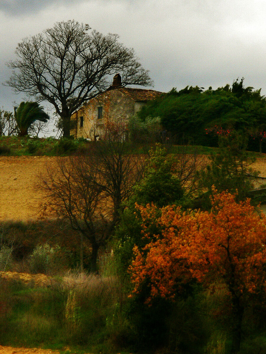 The Blowing of the Time