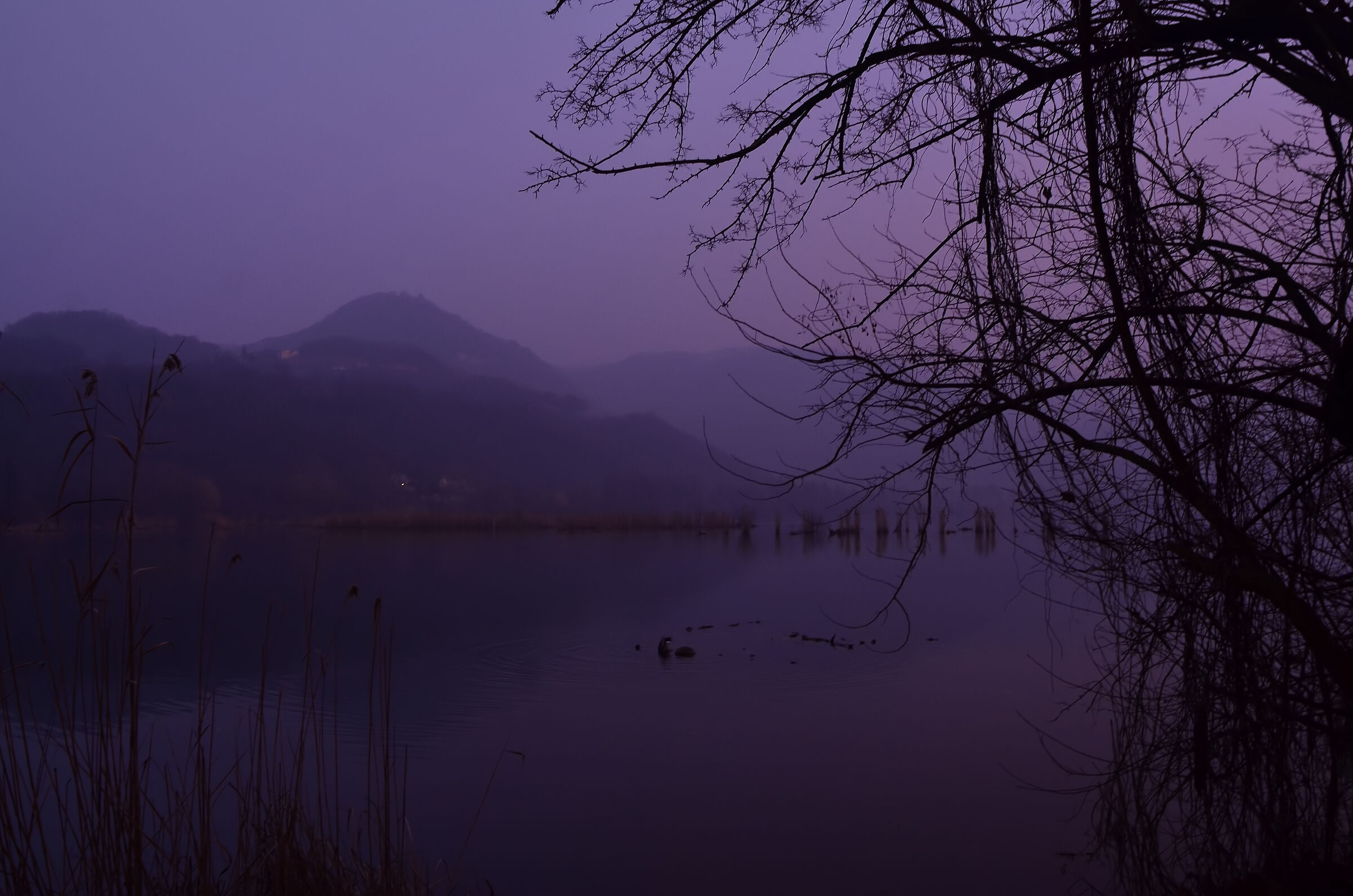 Serenità della sera