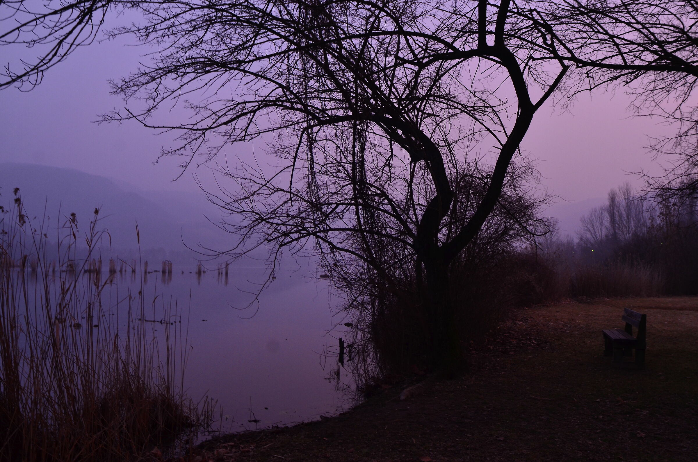 Tutto il resto a domani