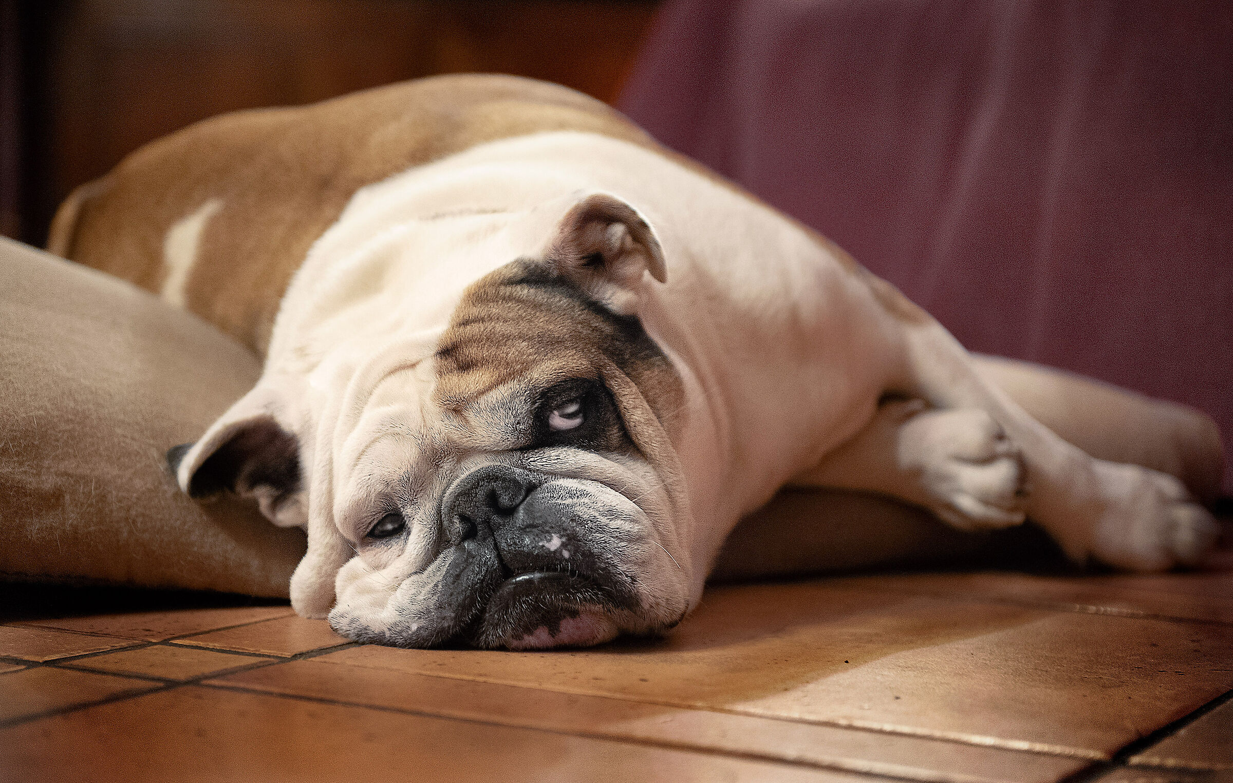 Let's go?.... And where?!