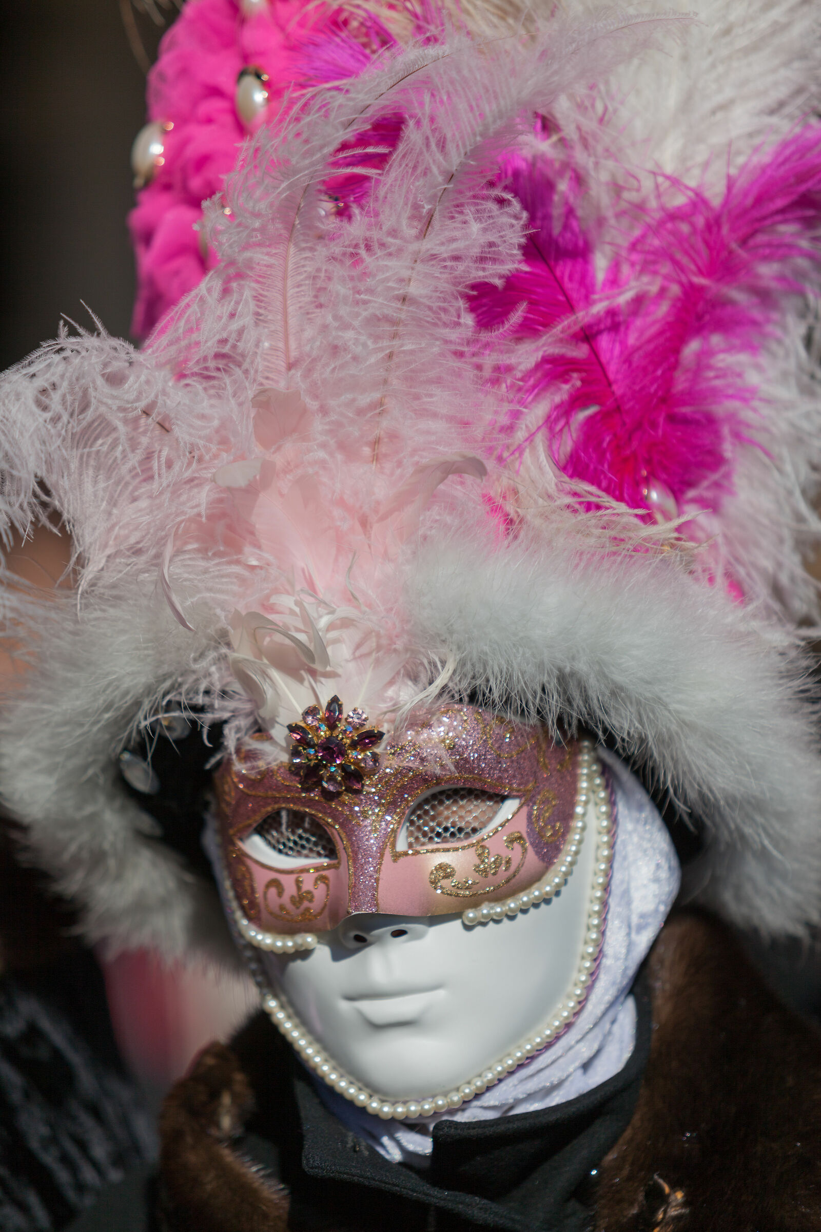 CarnevaleVeneziano#8
