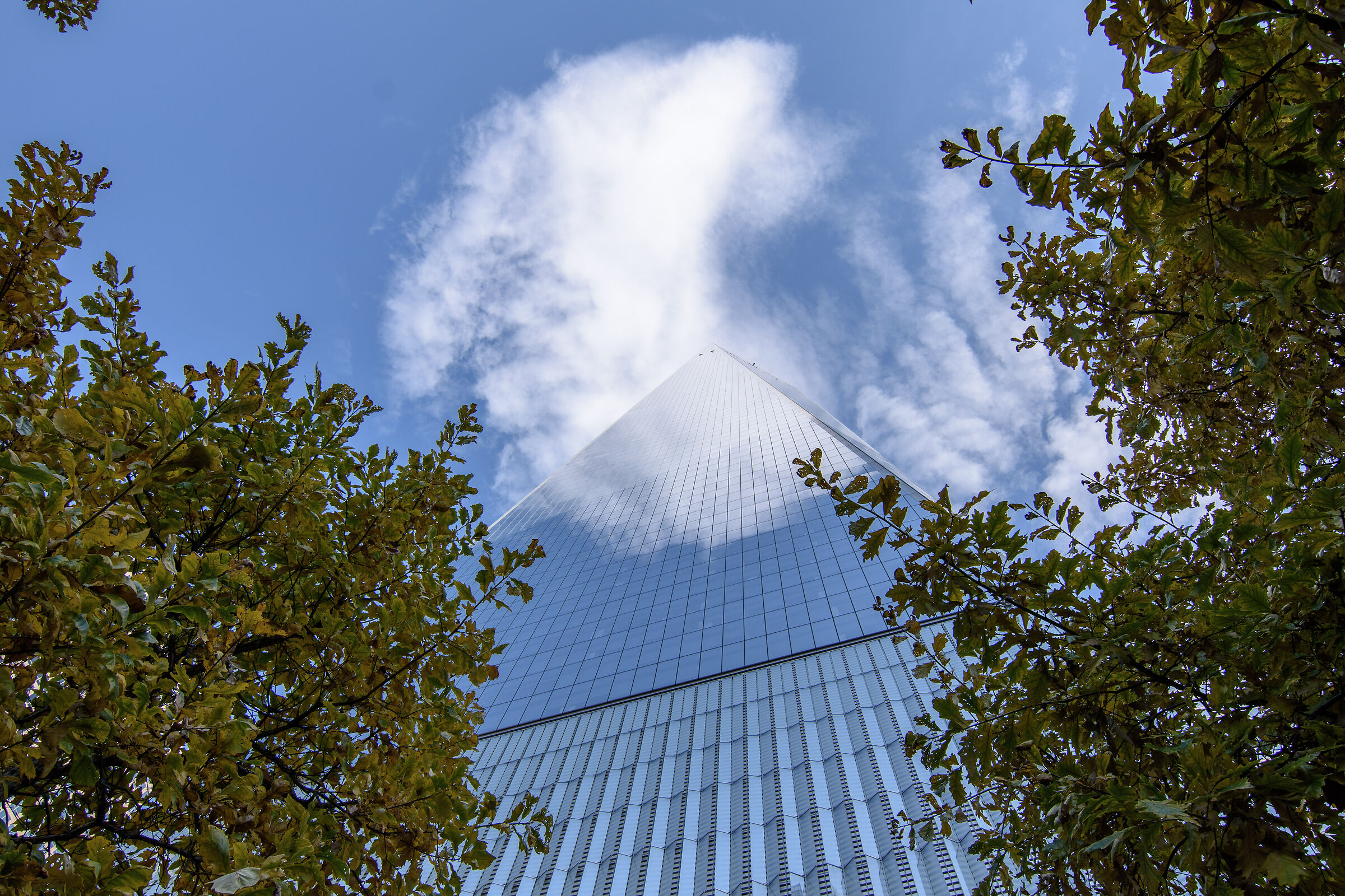 Freedom Tower and the Sky