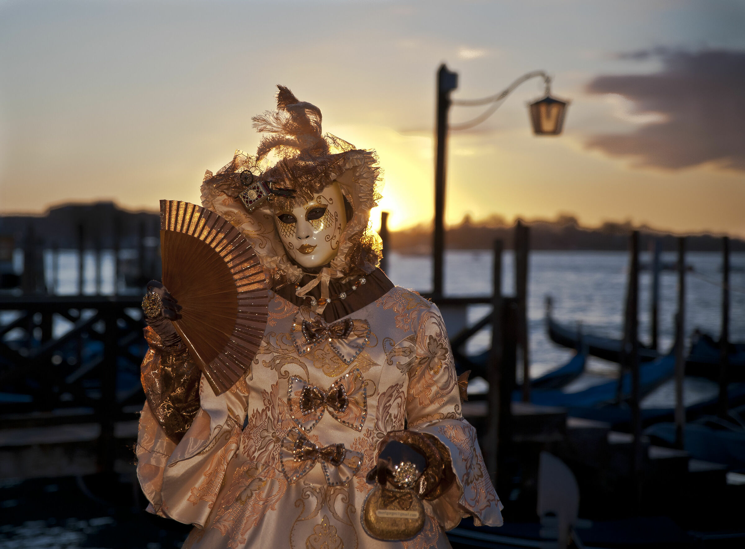 Venice Carnival 2019
