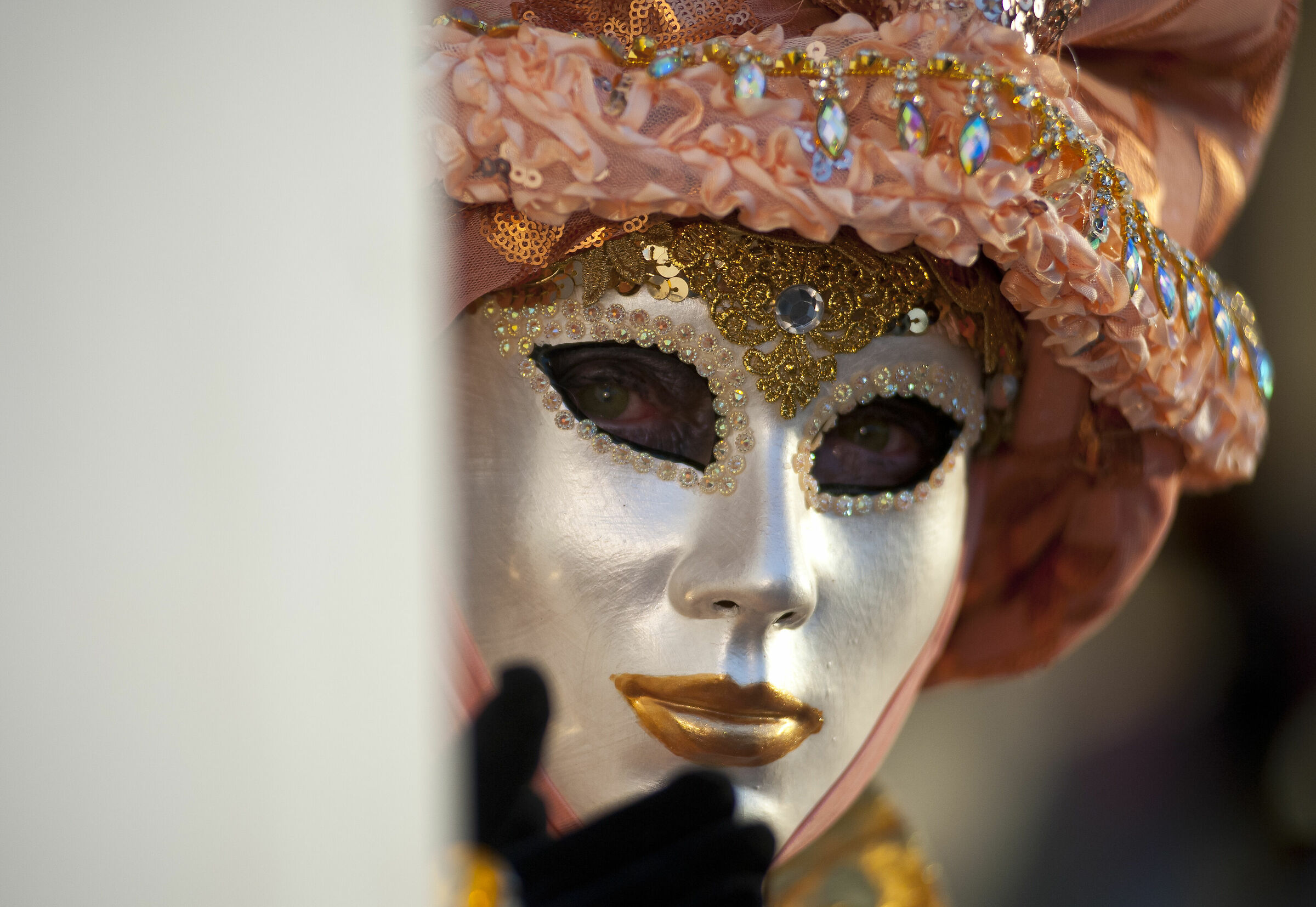 Venice Carnival 2019