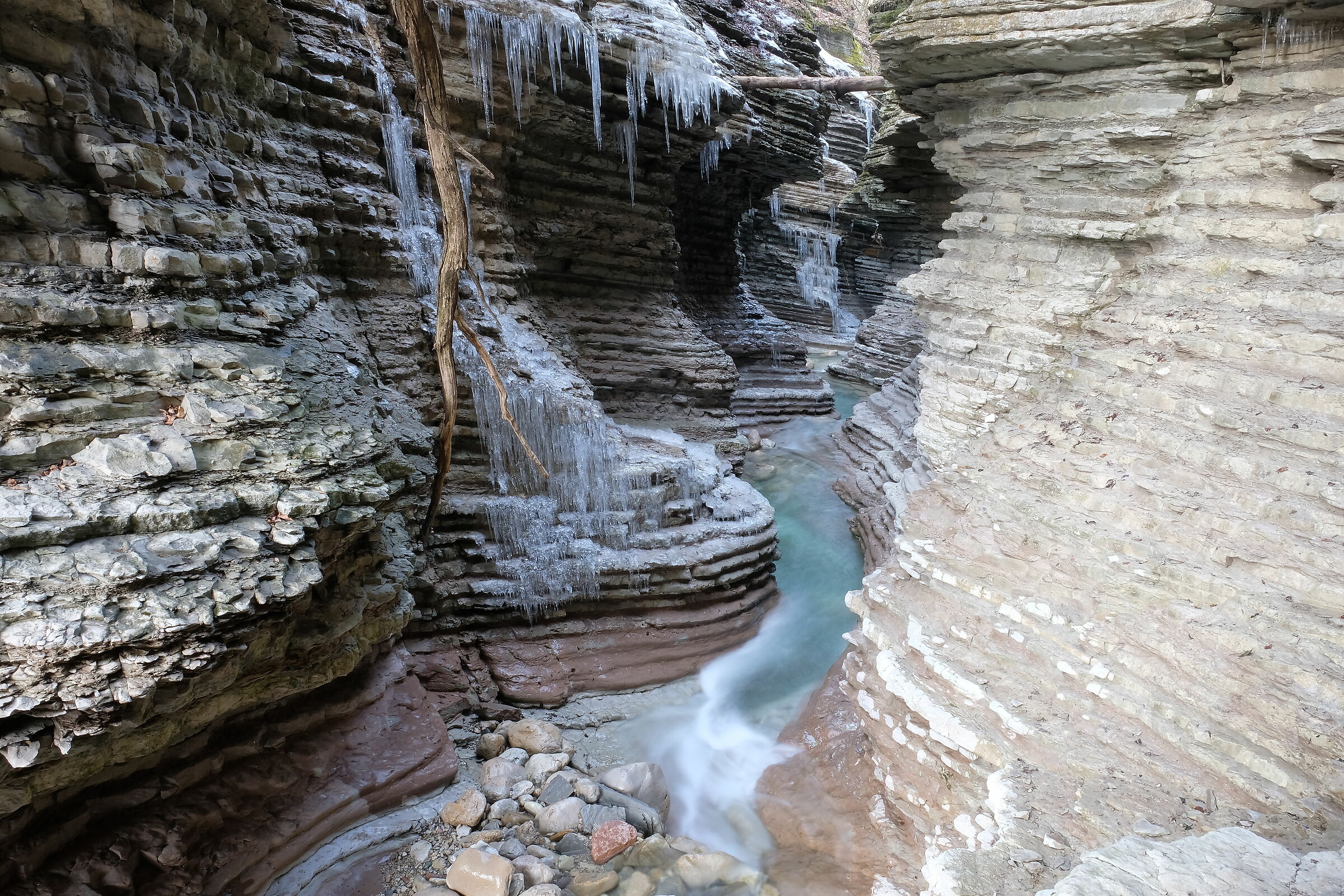 Brent de l'art in February