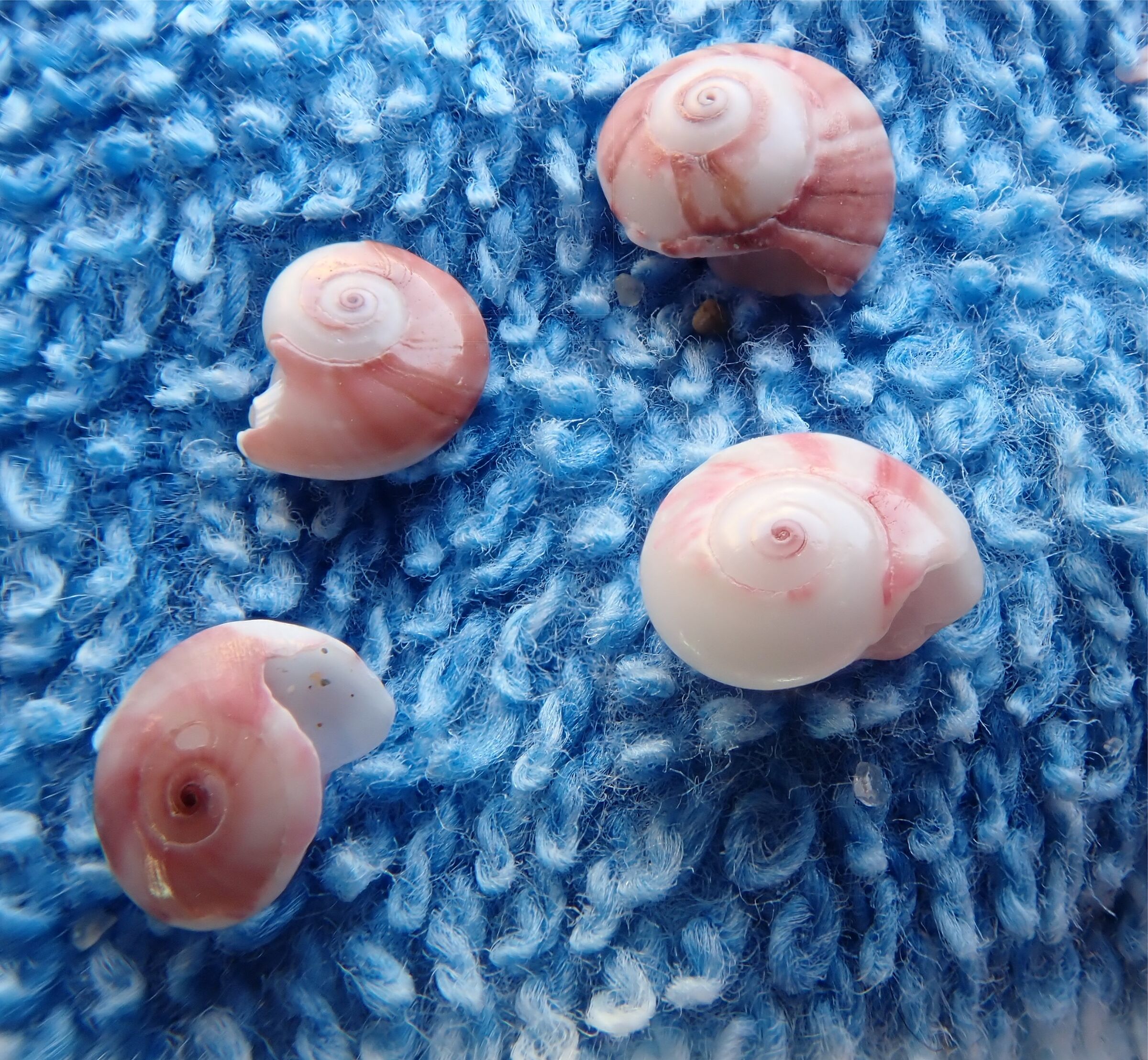 Between the Sabbbia on the towel-sea