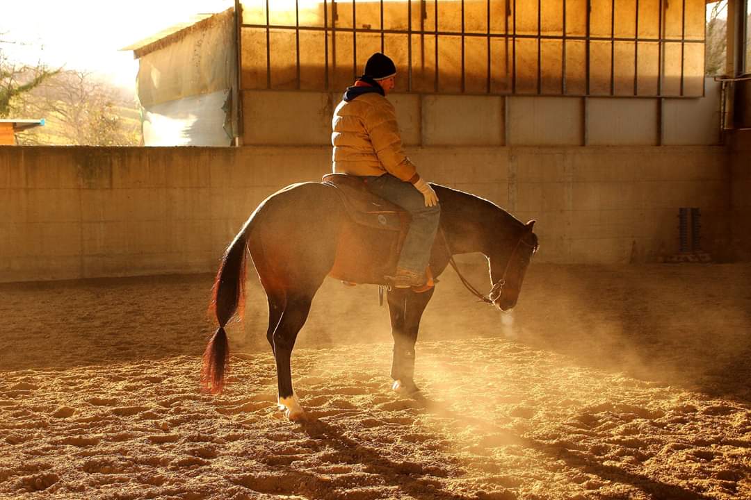 Reining training