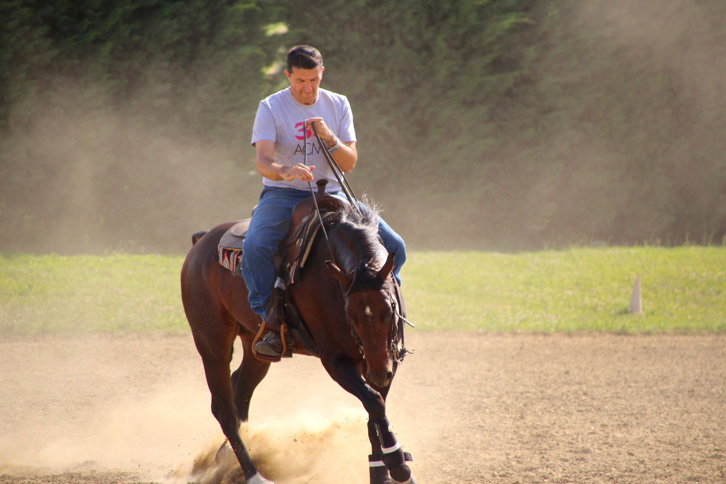 Denis e Squaletto al lavoro c/o Cortesi Horse Stable