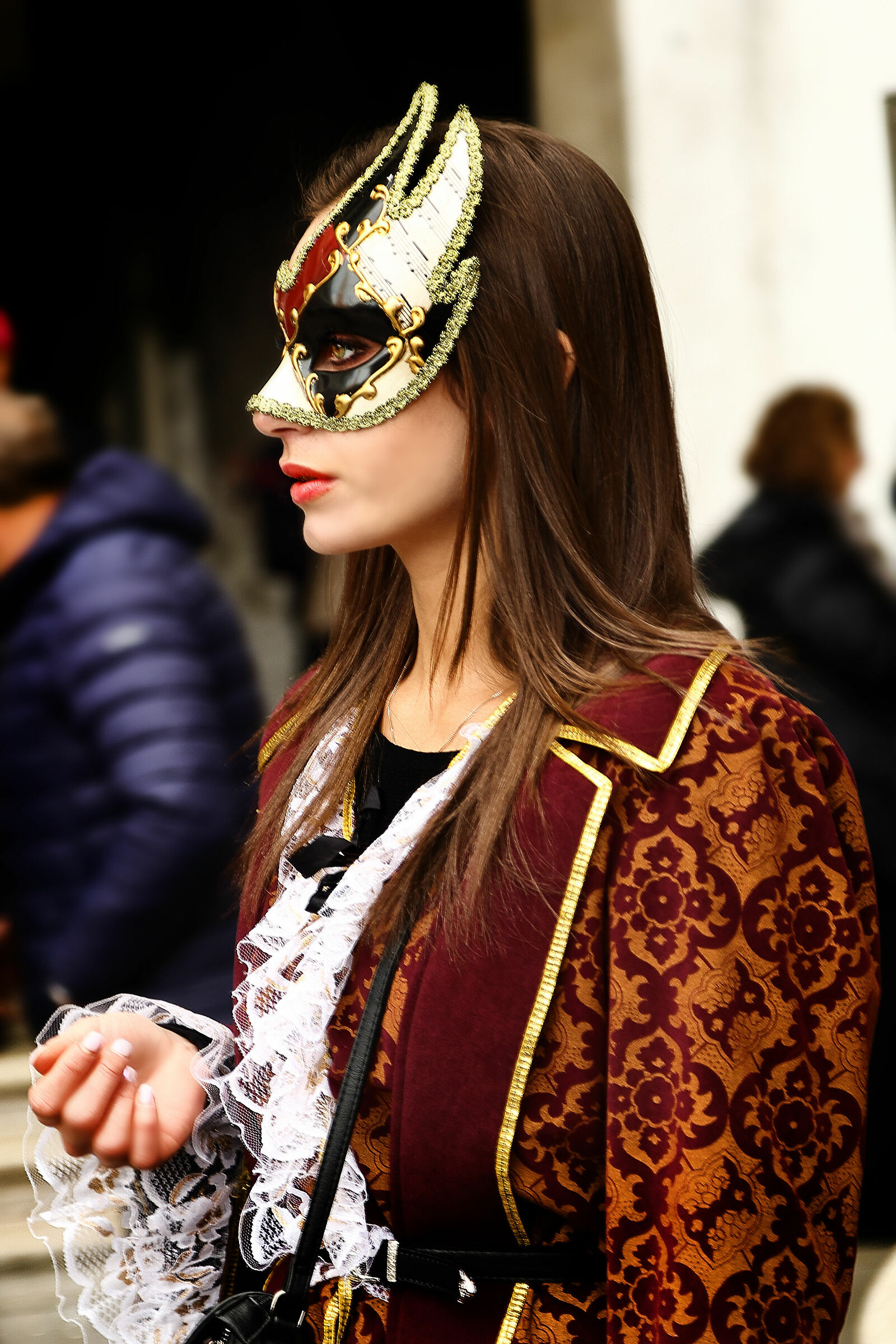 Venezia , il carnevale