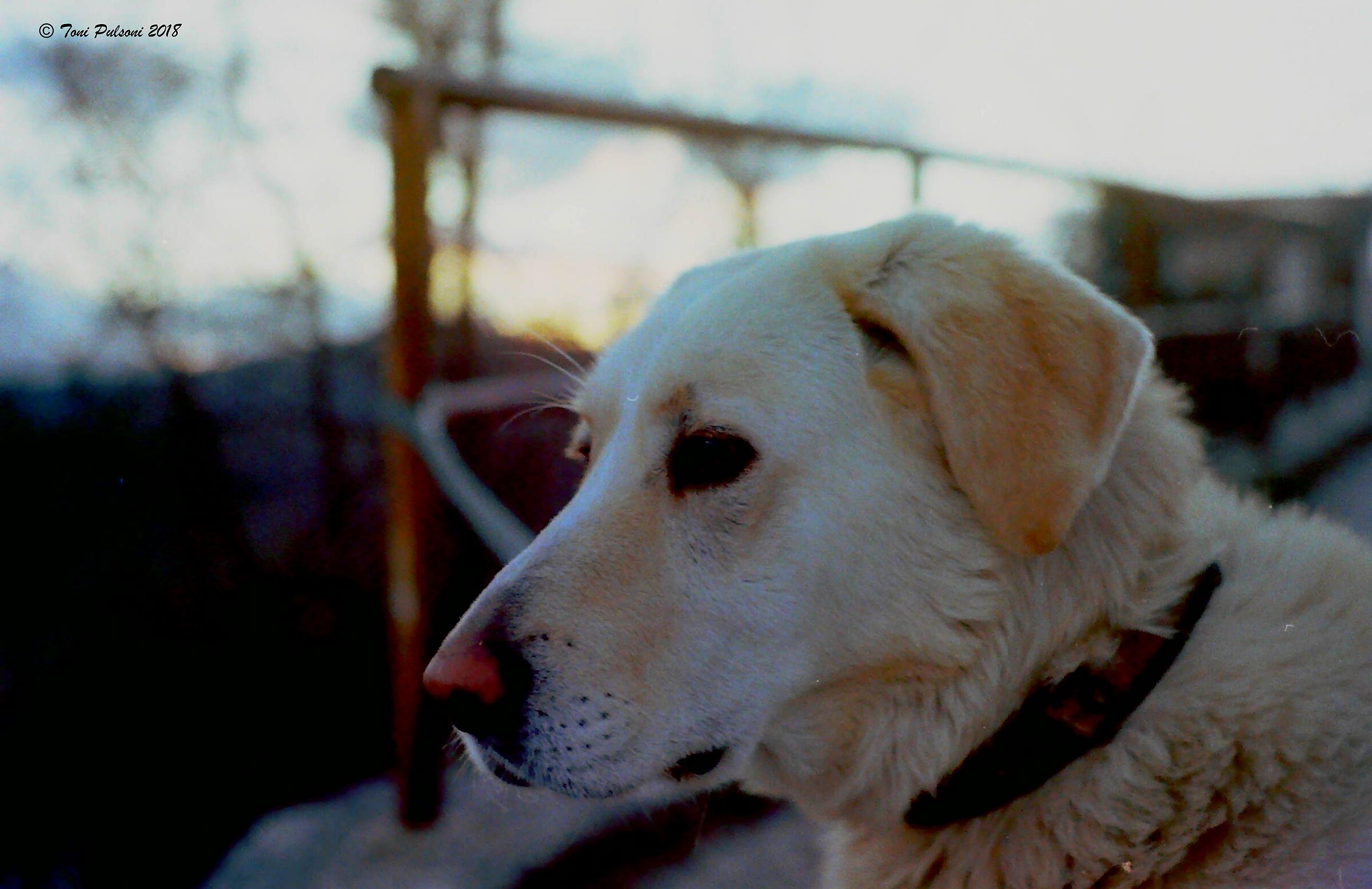 Uno sguardo al tramonto