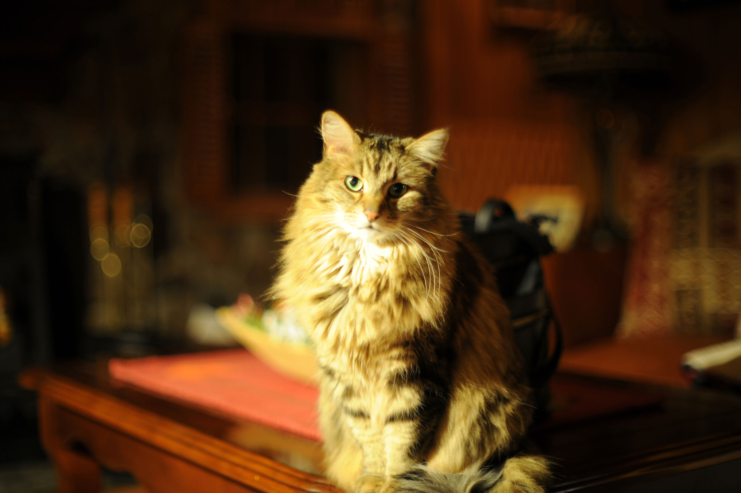 Chloe... l'amore sta dando