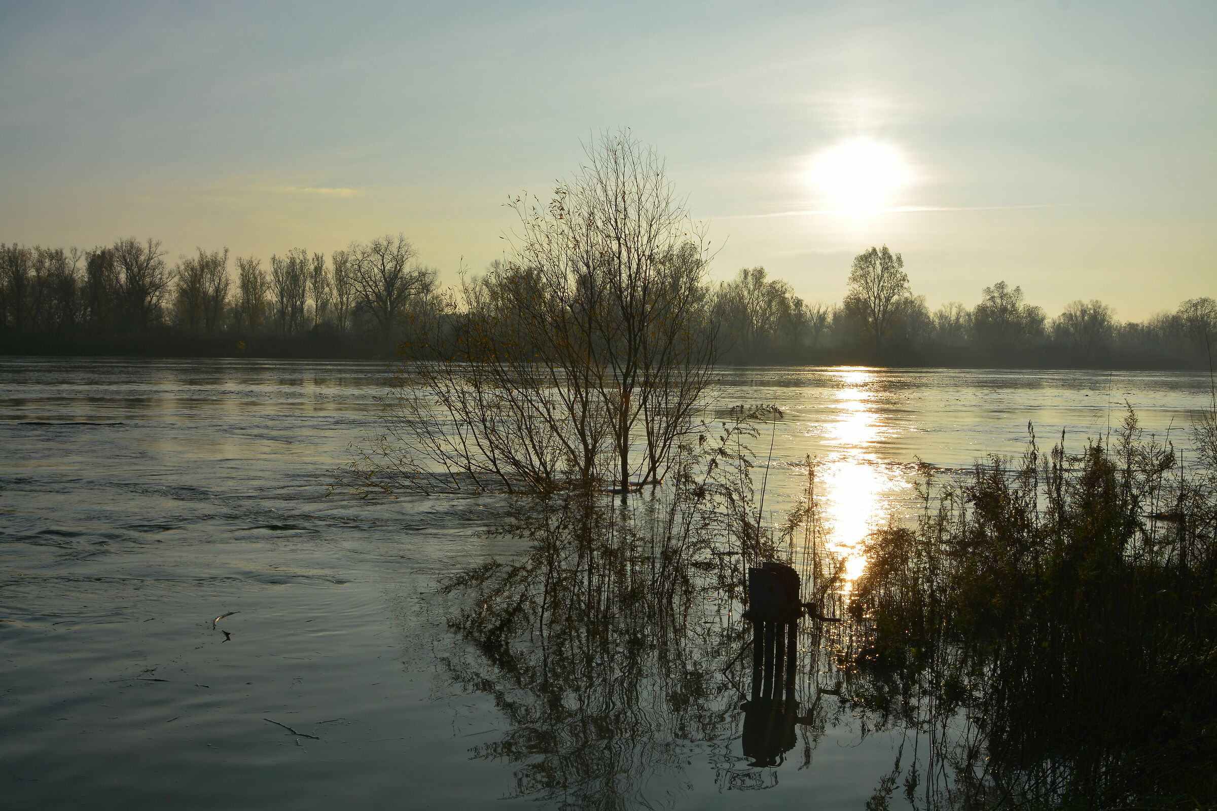 The little in Cremona