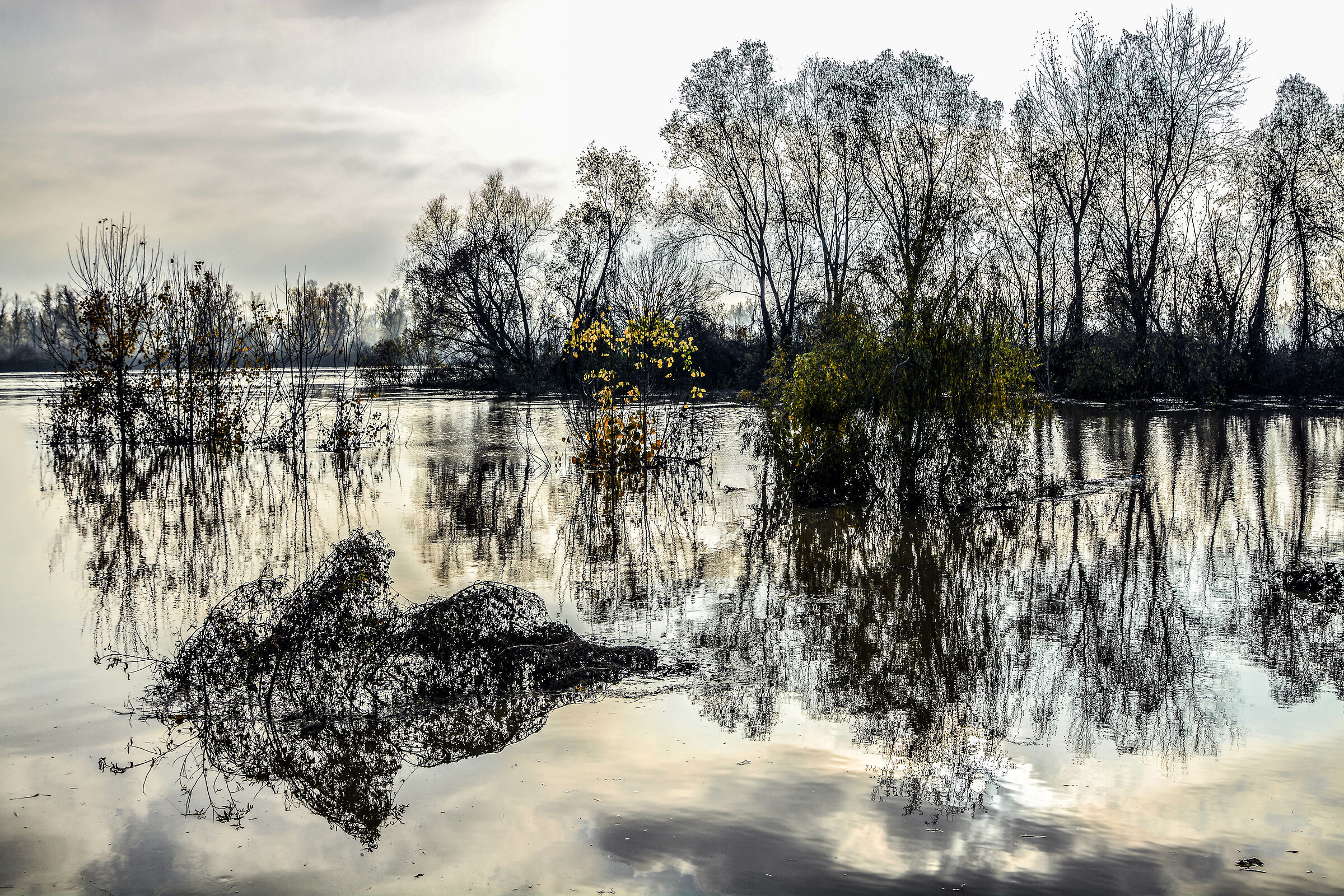 The Po in Cremona in full