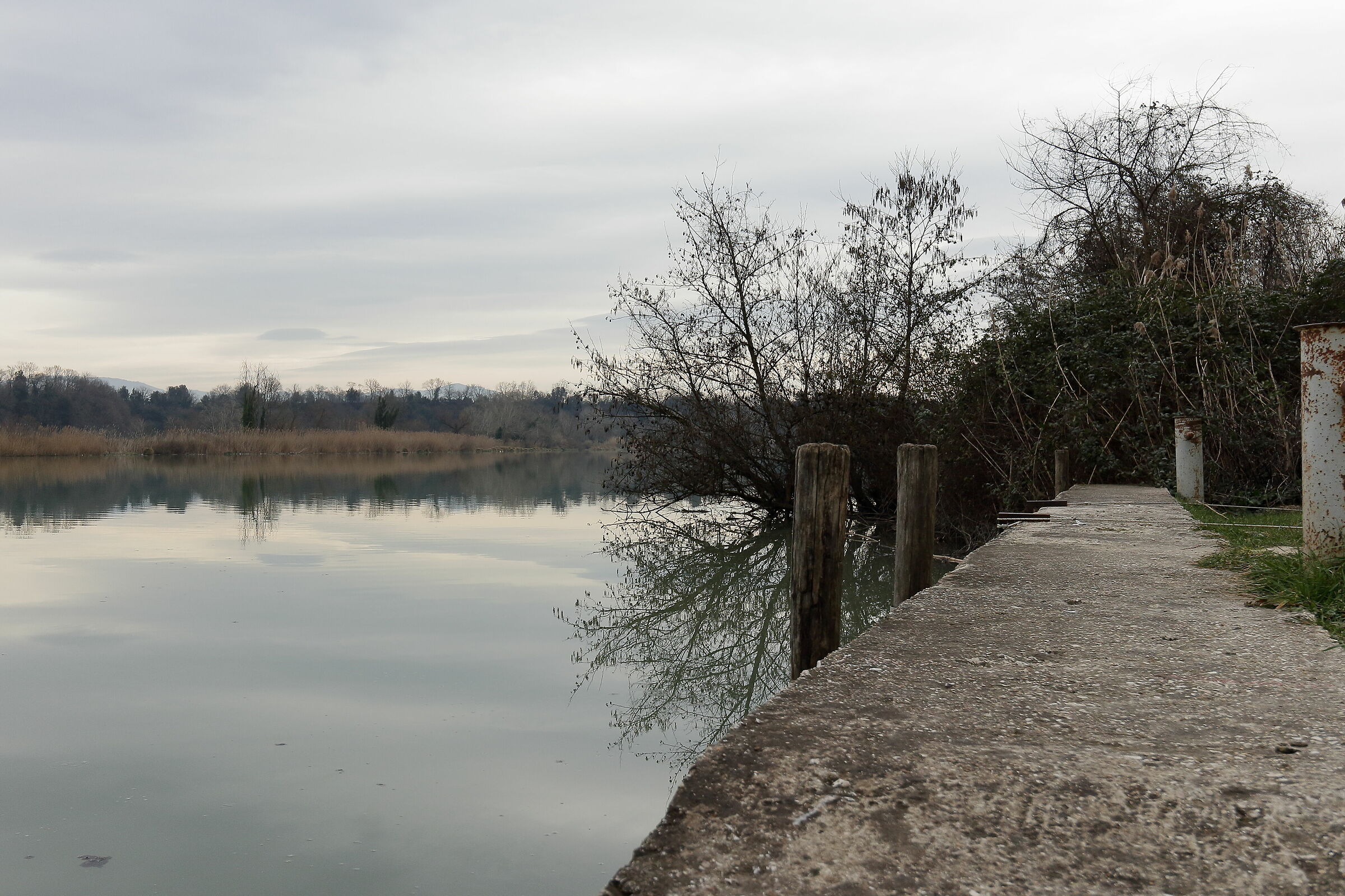 riflessi sul fiume che scorre lento