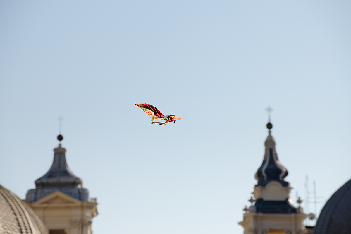 Animali meccanici a Piazza del Popolo